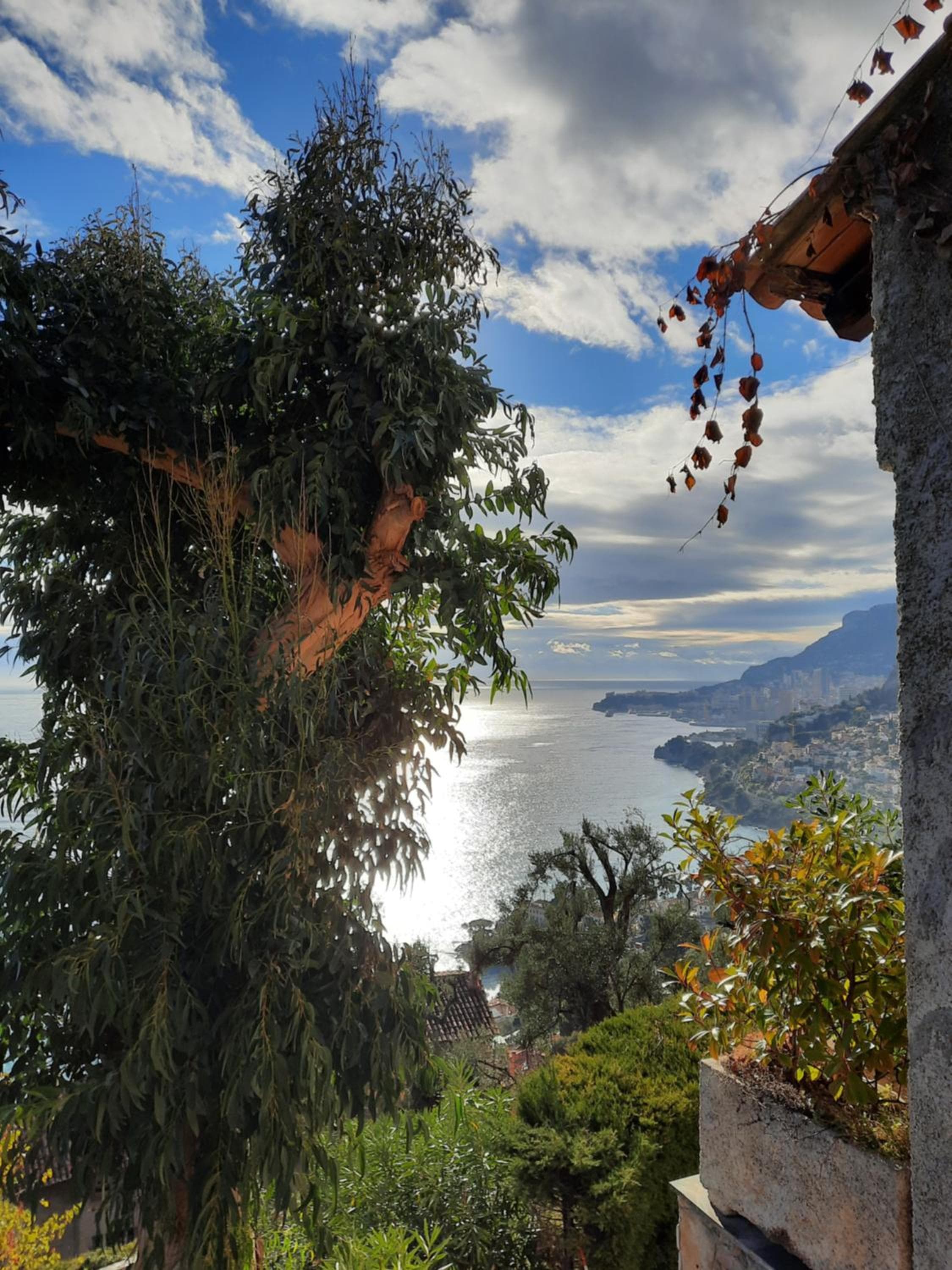 Soutariba