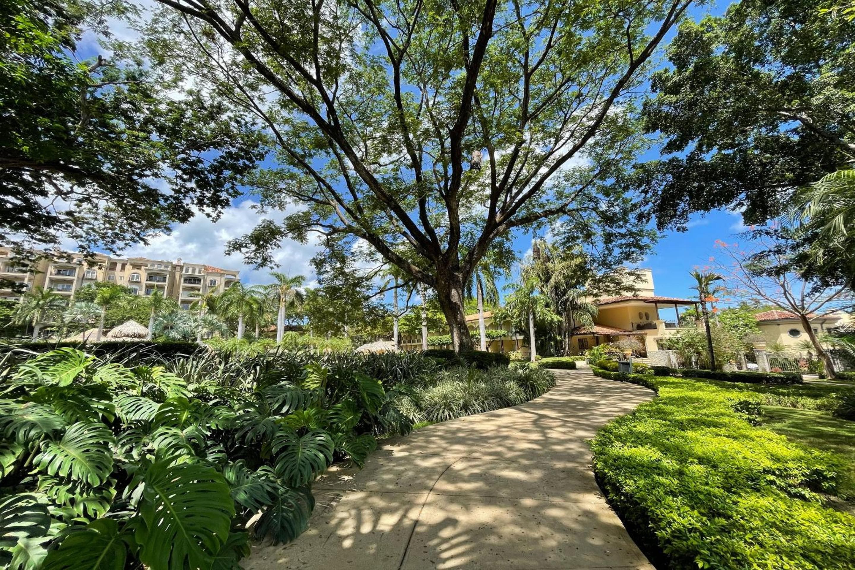 Hotel Tamarindo Diria Beach Resort