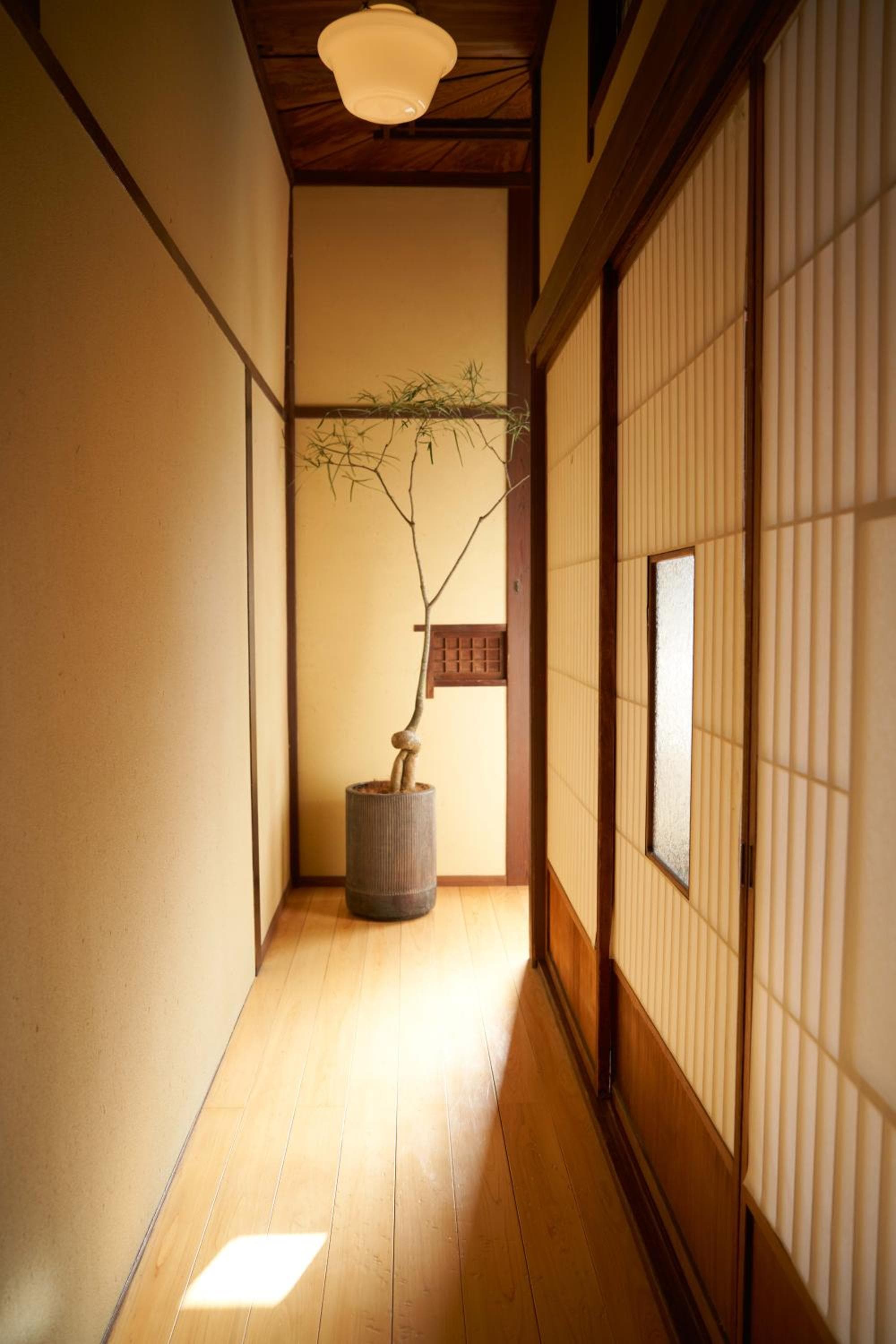 Ryokan Plum