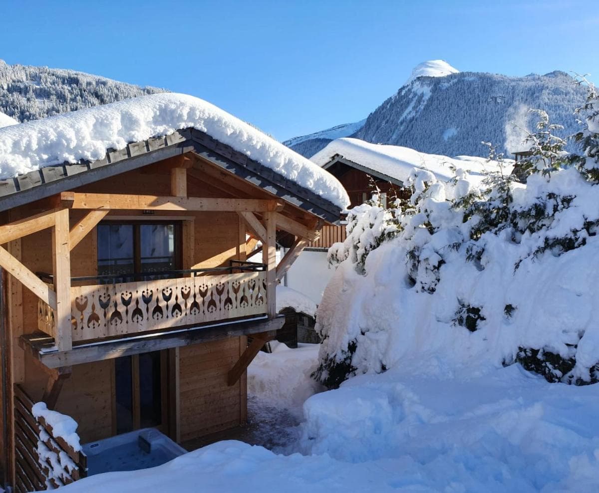 Chalet Delphinette - Spa privatif