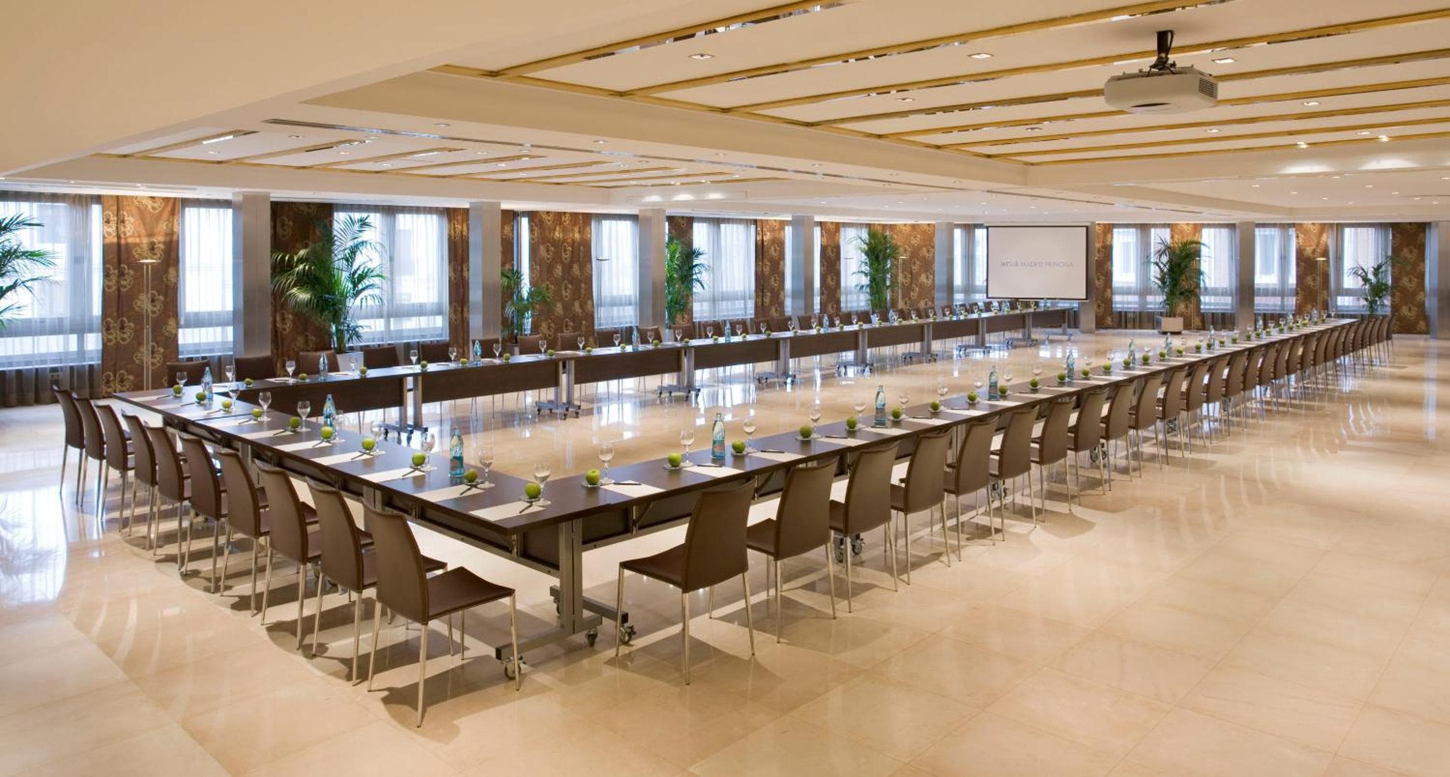 Meliá Madrid Princesa