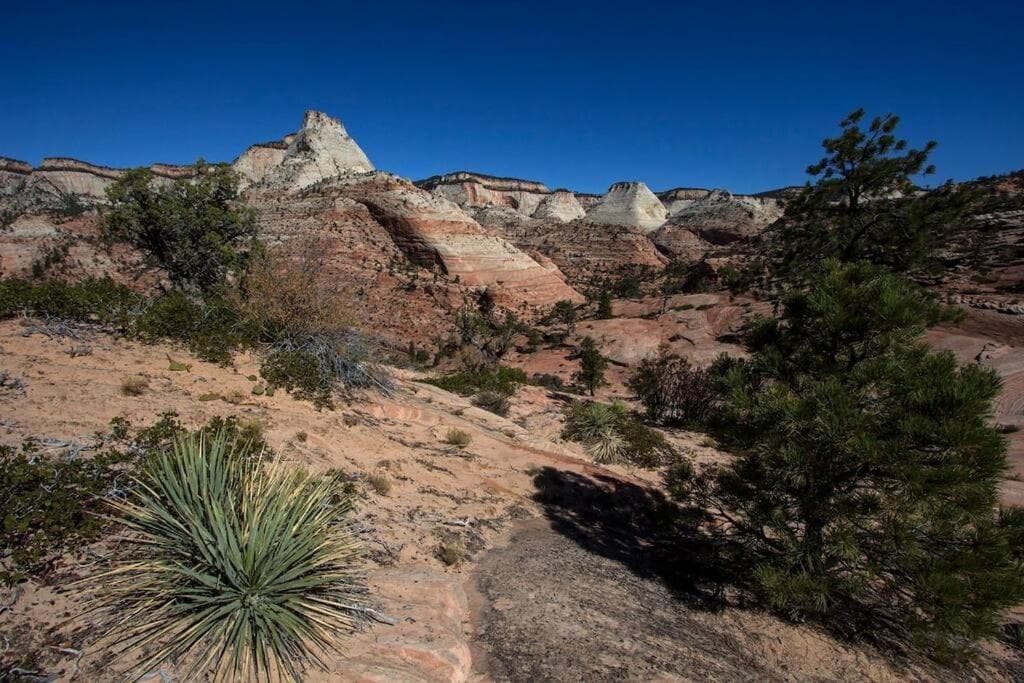 Free Spirit, Walking distance to East Zion trails