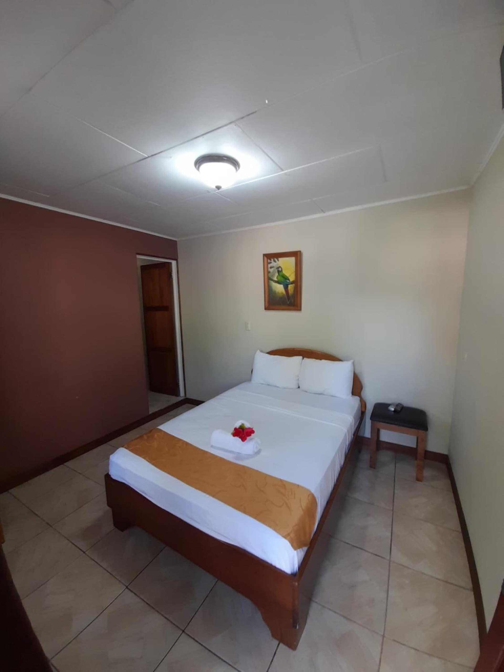Arenal Poshpacker Boutique Urban Tropical Hotel