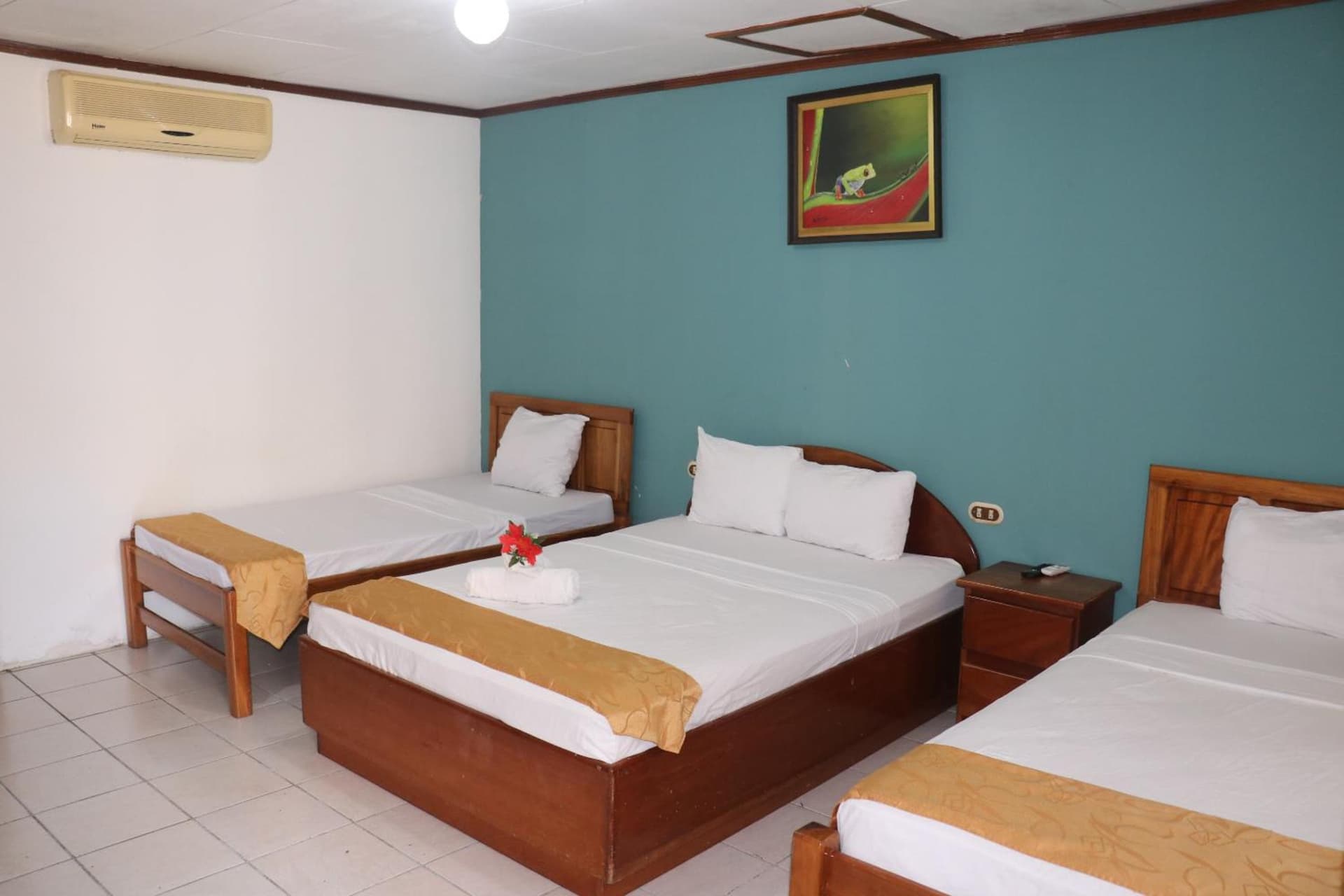 Arenal Poshpacker Boutique Urban Tropical Hotel