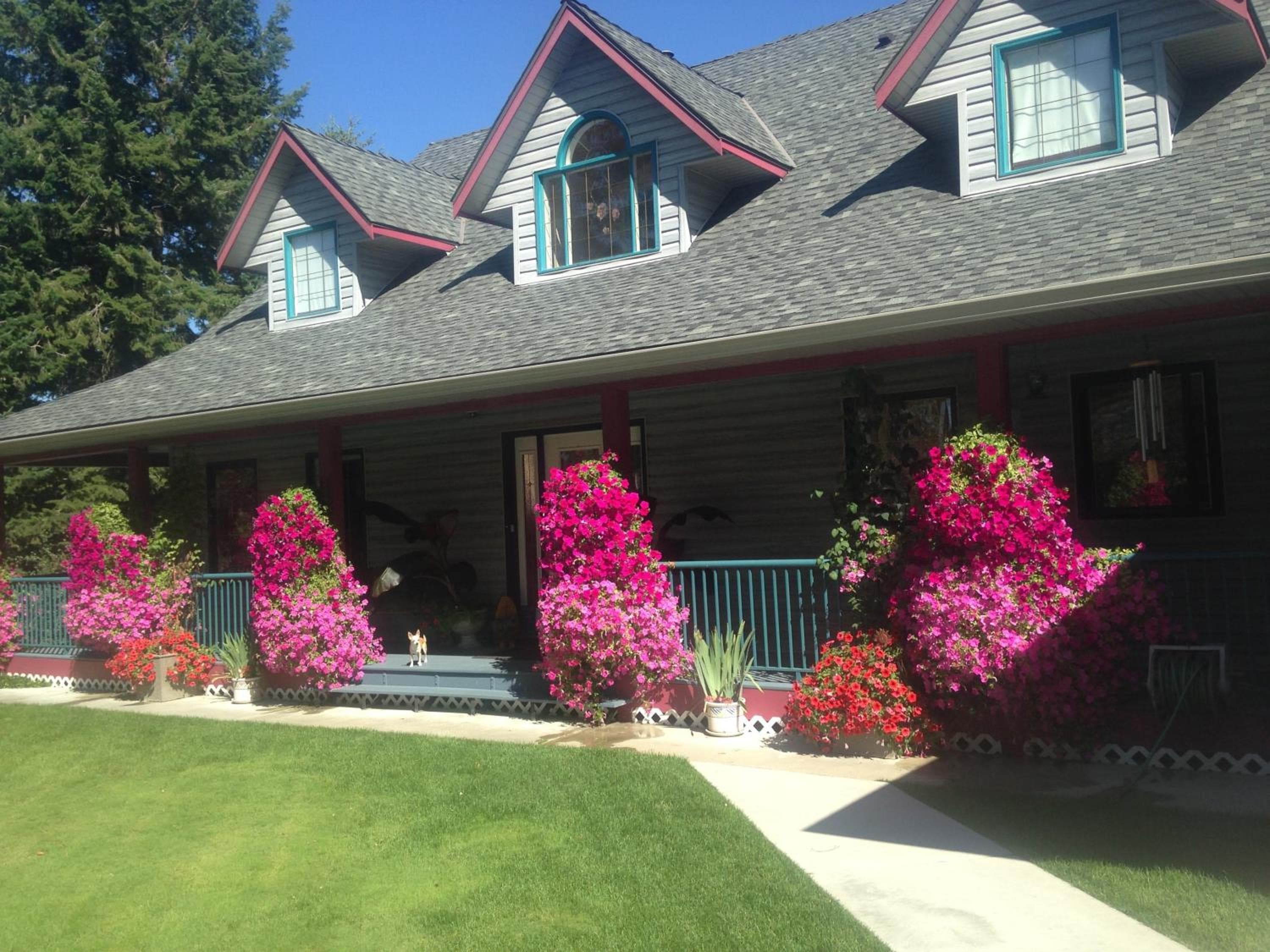 Eagle's Nest B&B