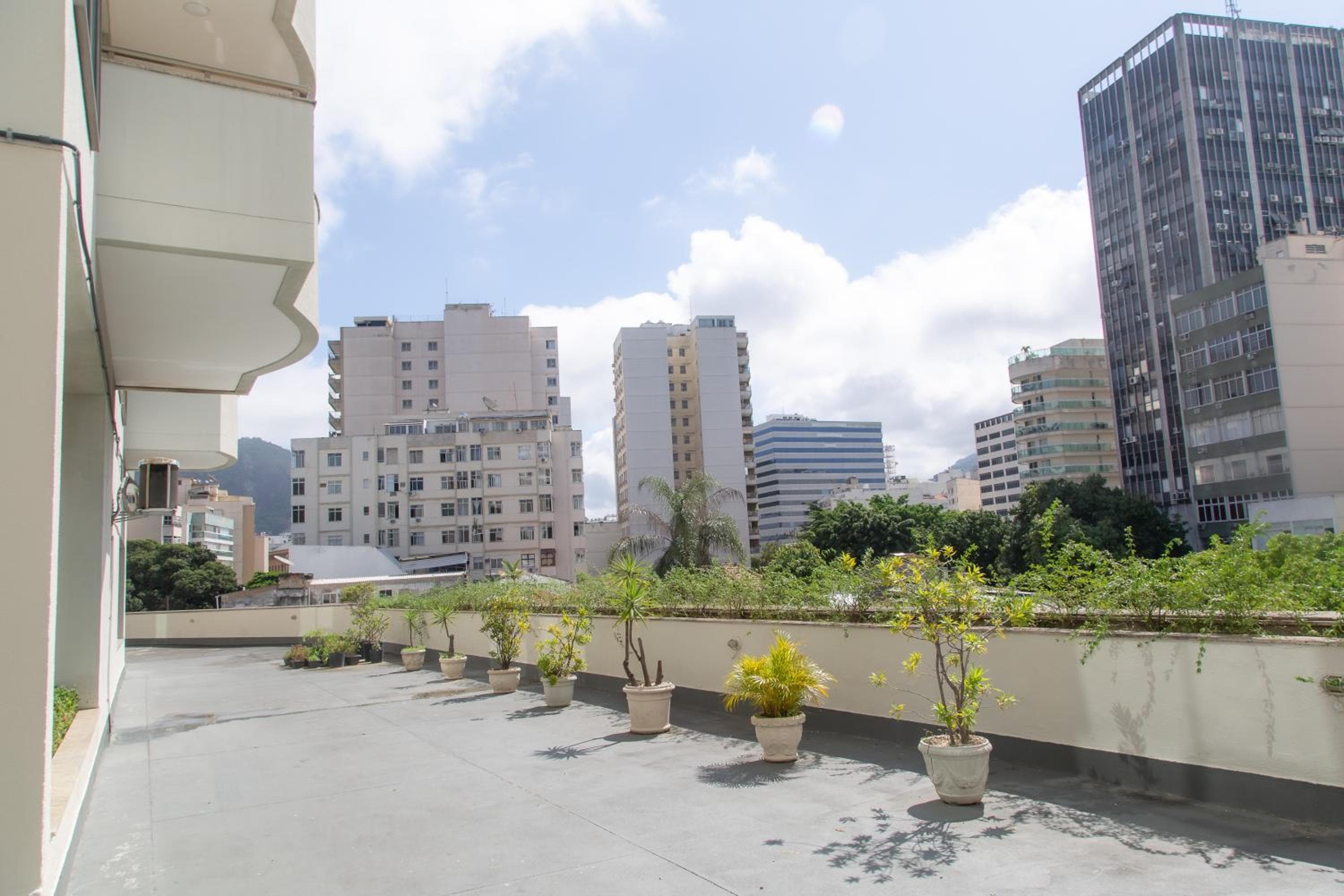 Lobie Botafogo Privilege
