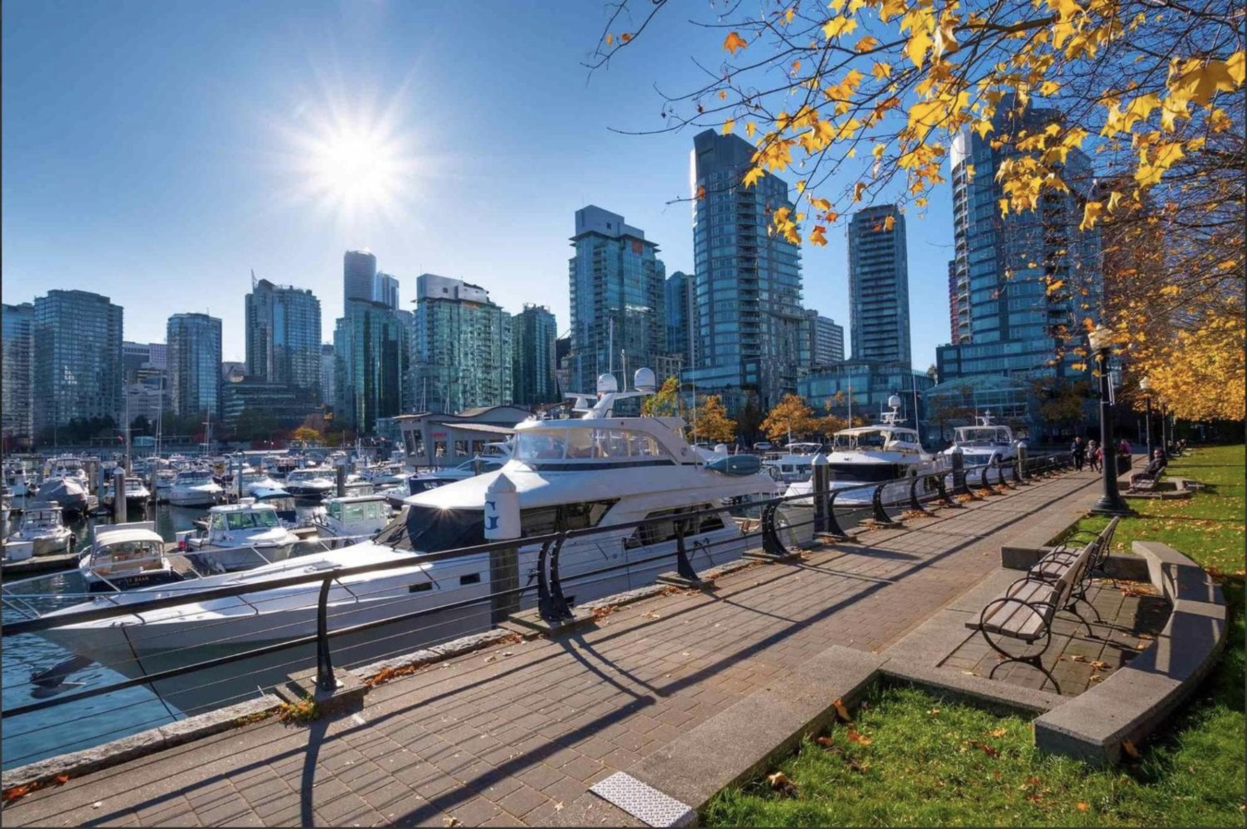 Best Location Downtown Chic Suites