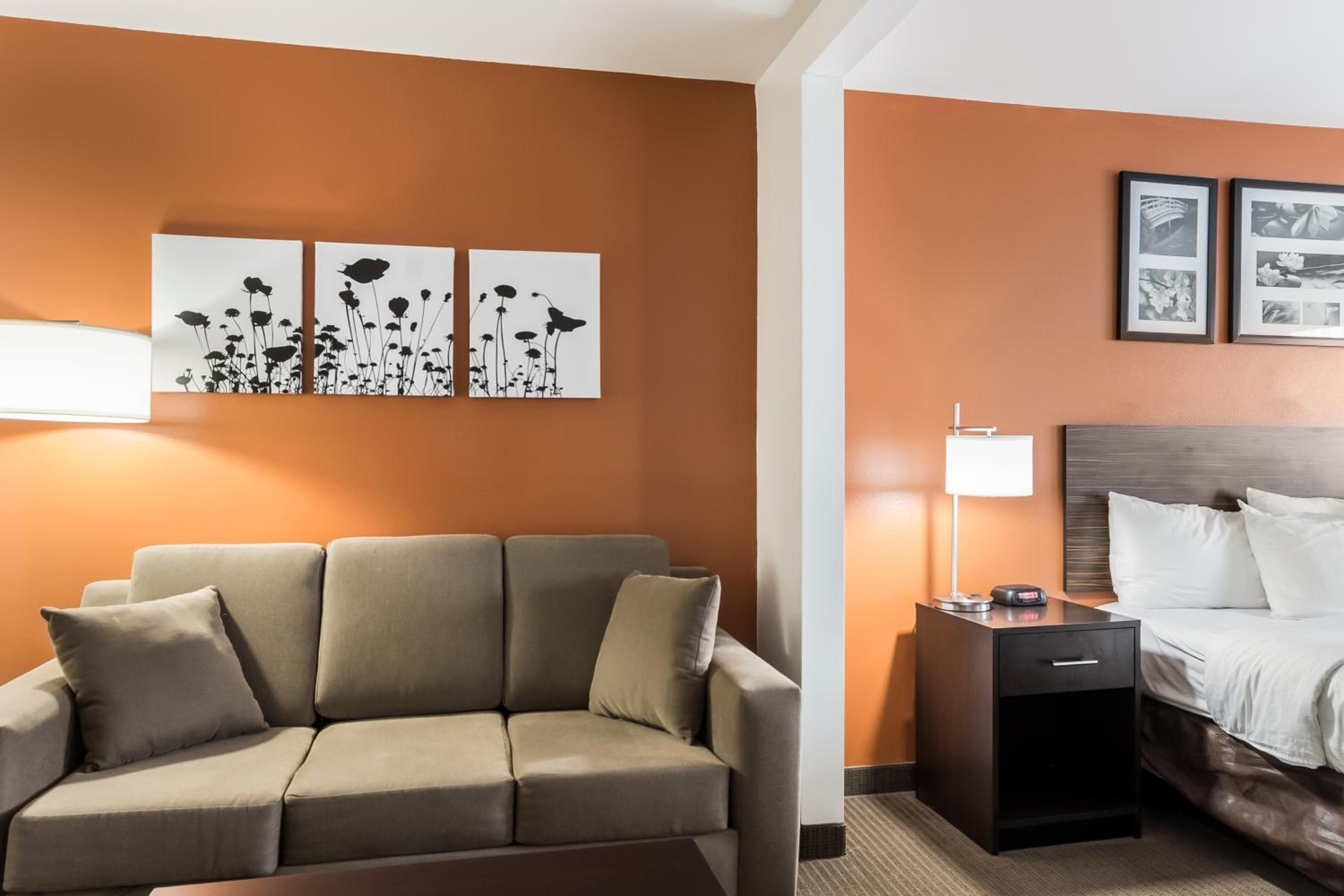 Sleep Inn & Suites North Liberty - Liberty City