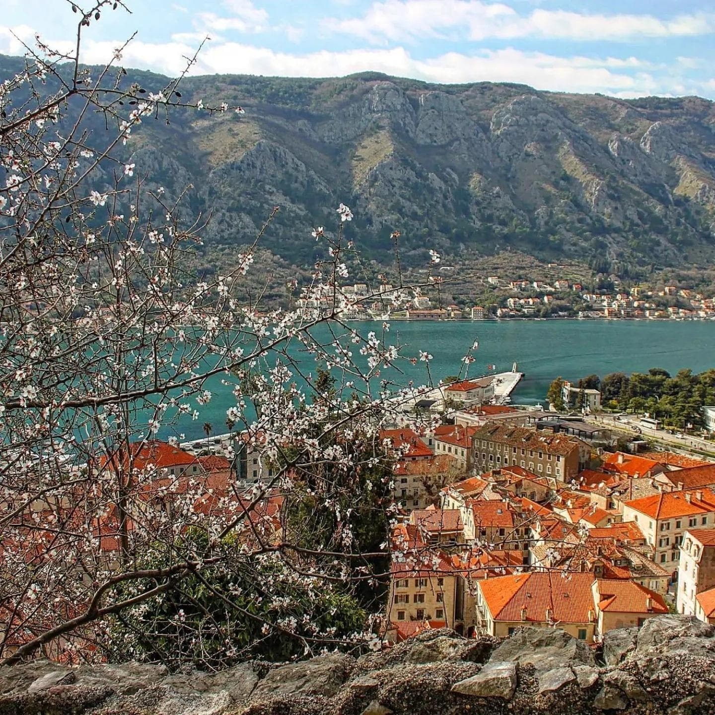 Old town Kotor Square