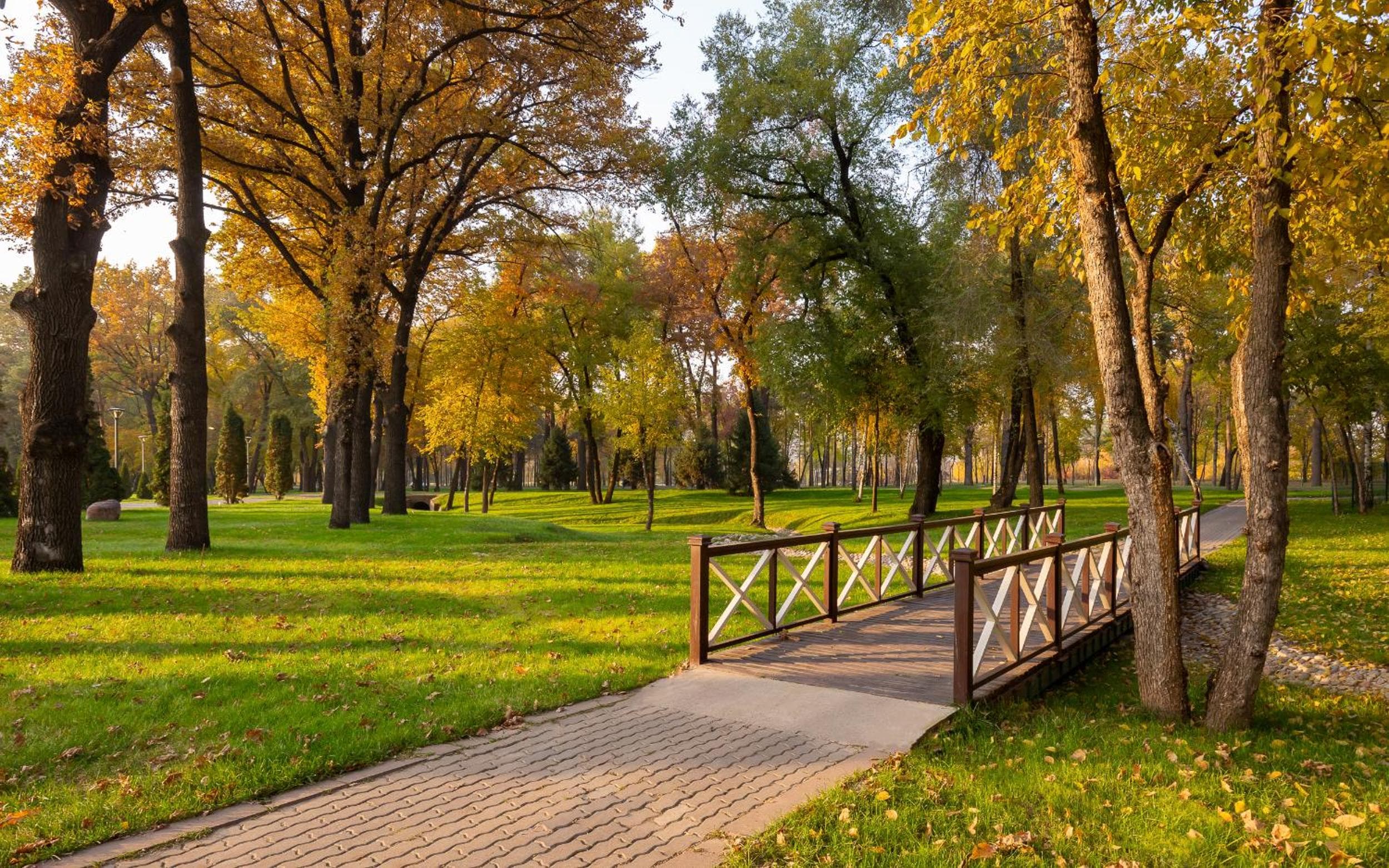 Swissôtel Wellness Resort Alatau Almaty
