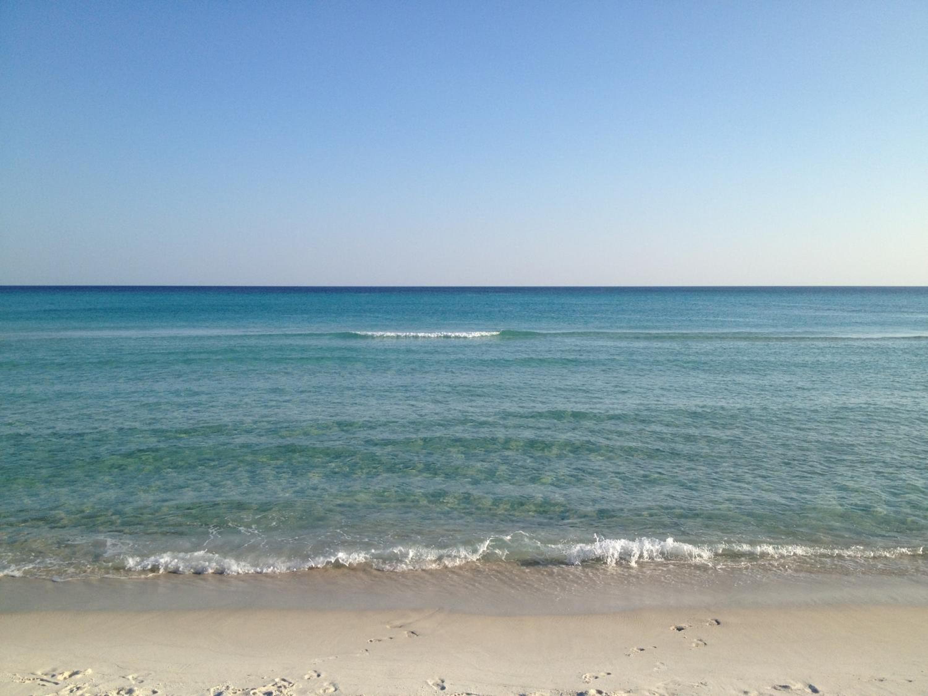 Beach Daze