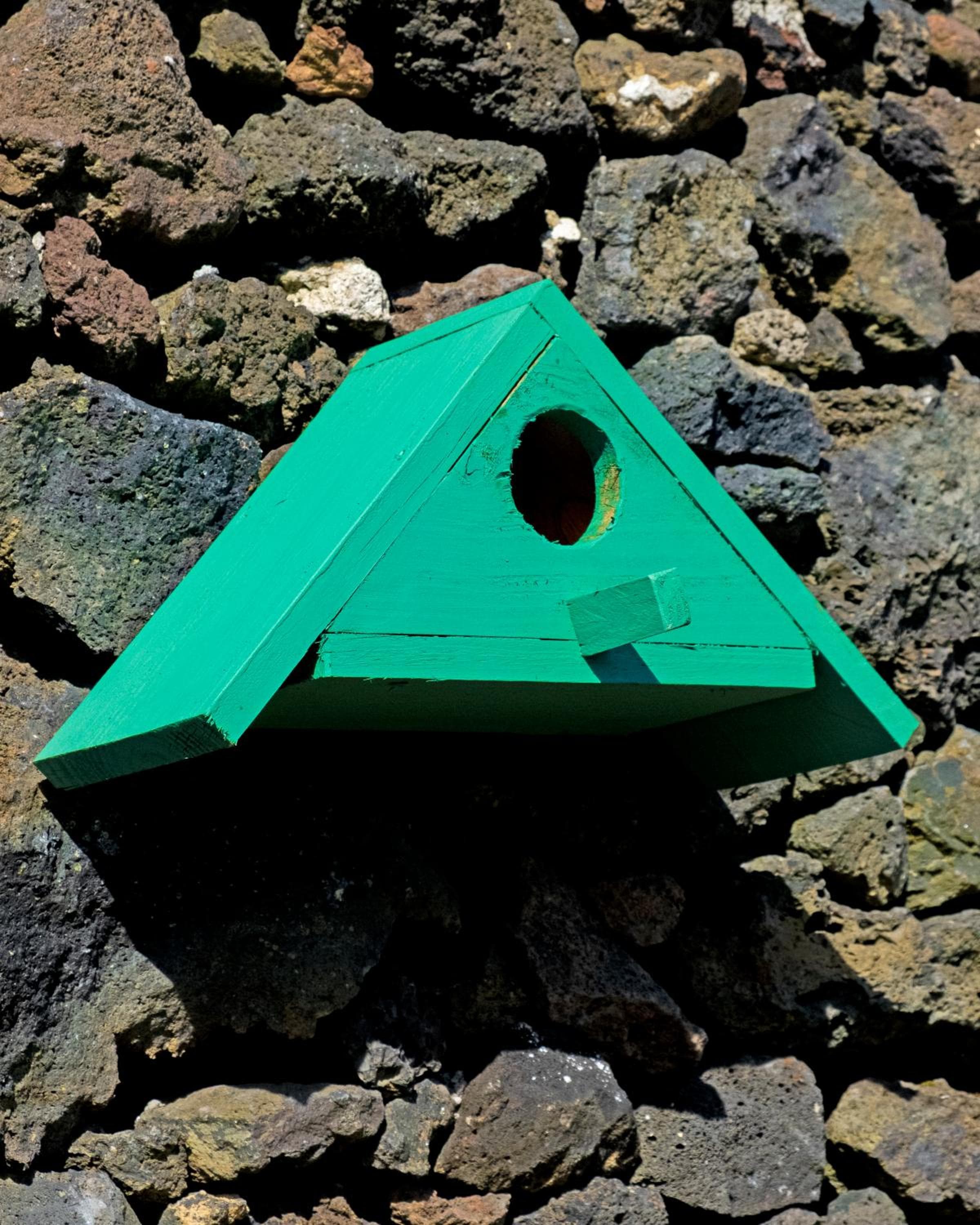 Parrots`Village