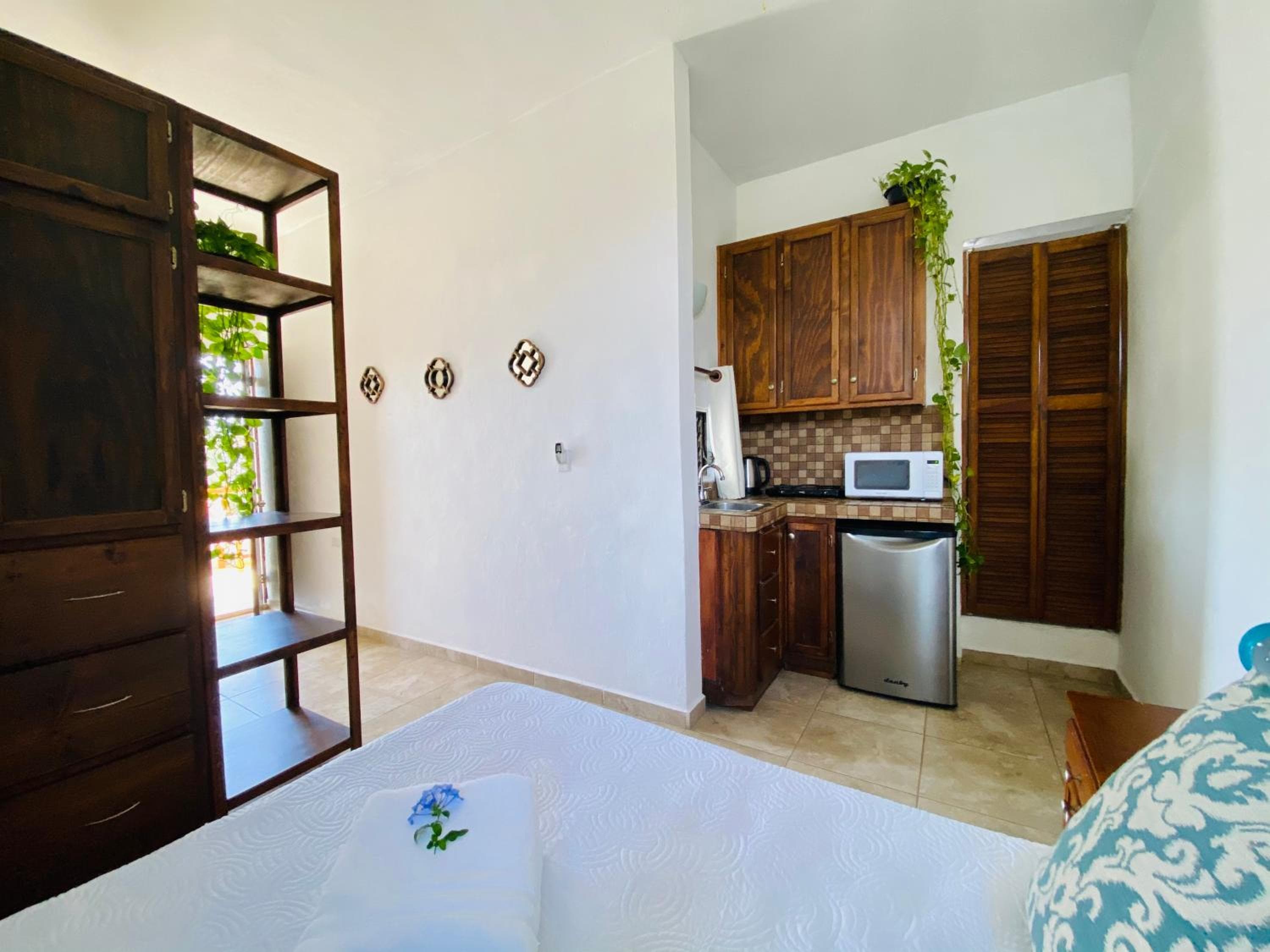 CABO BOHEMIA Tropical Garden Studios