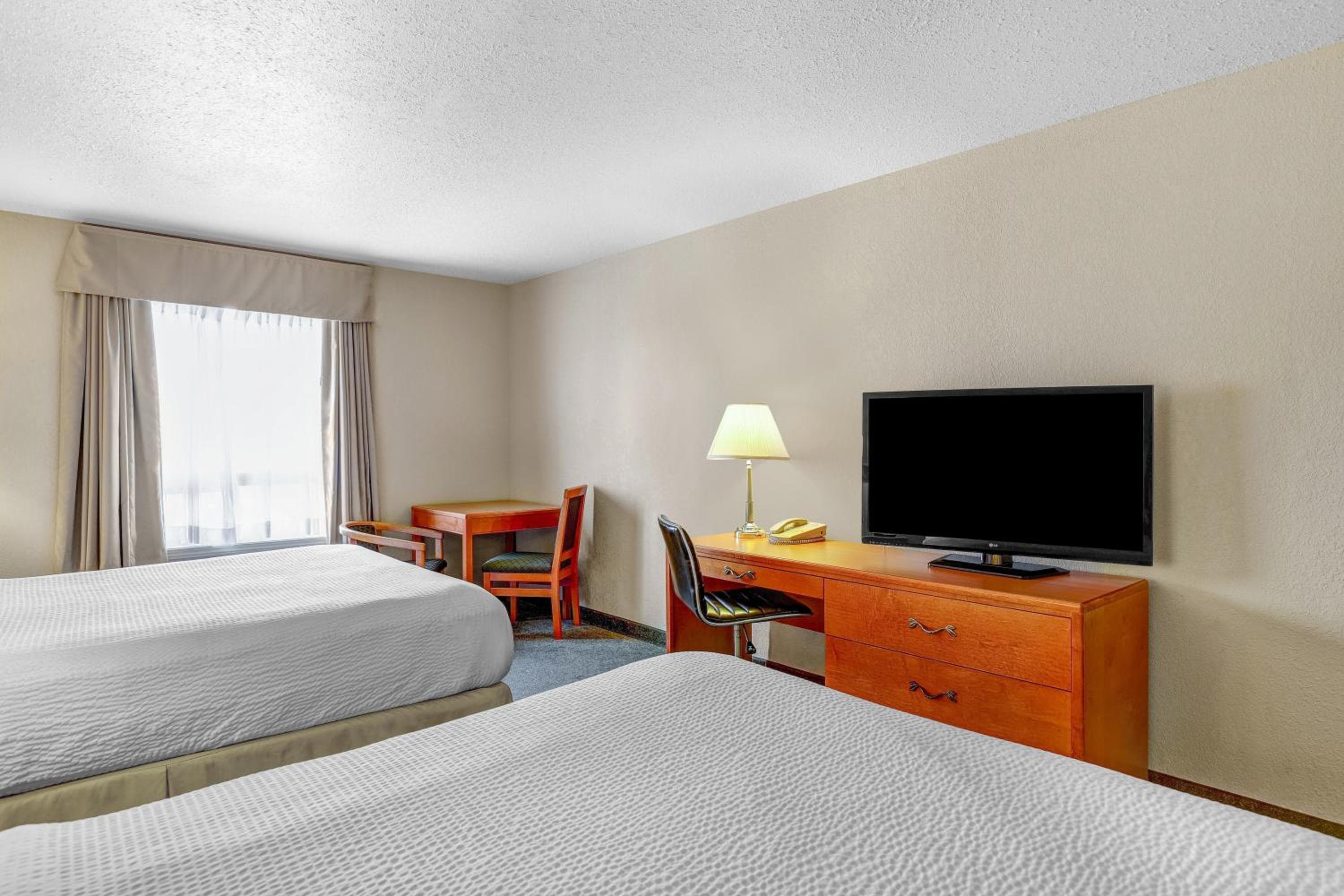 Prairie Crest Red Deer by IHG