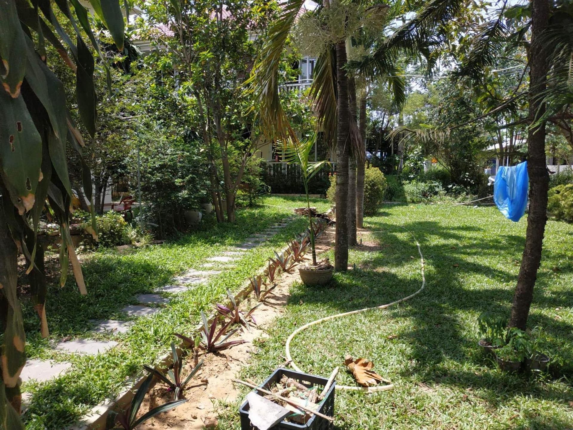 Nguyen Duy homestay