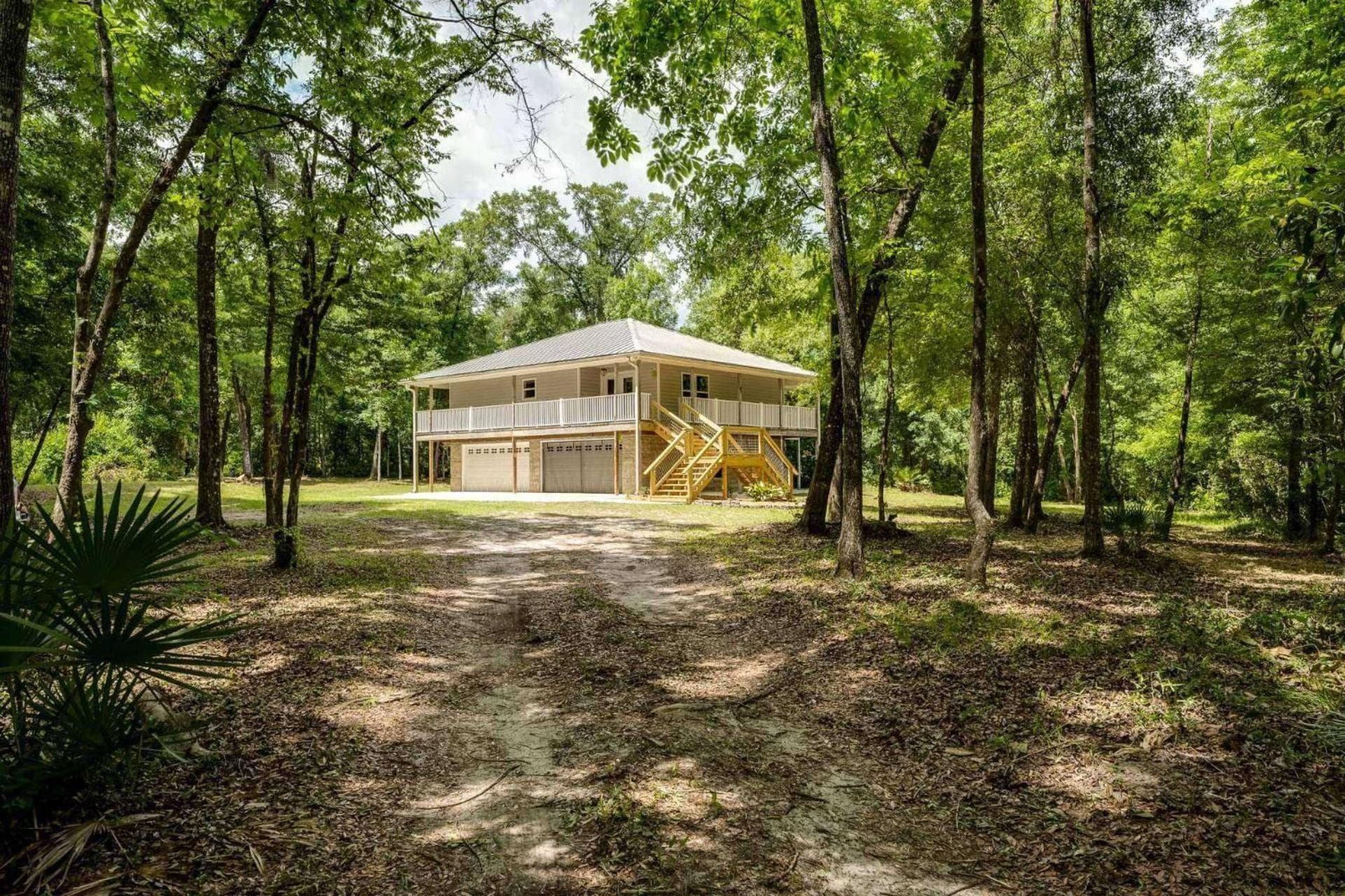 The Tree House