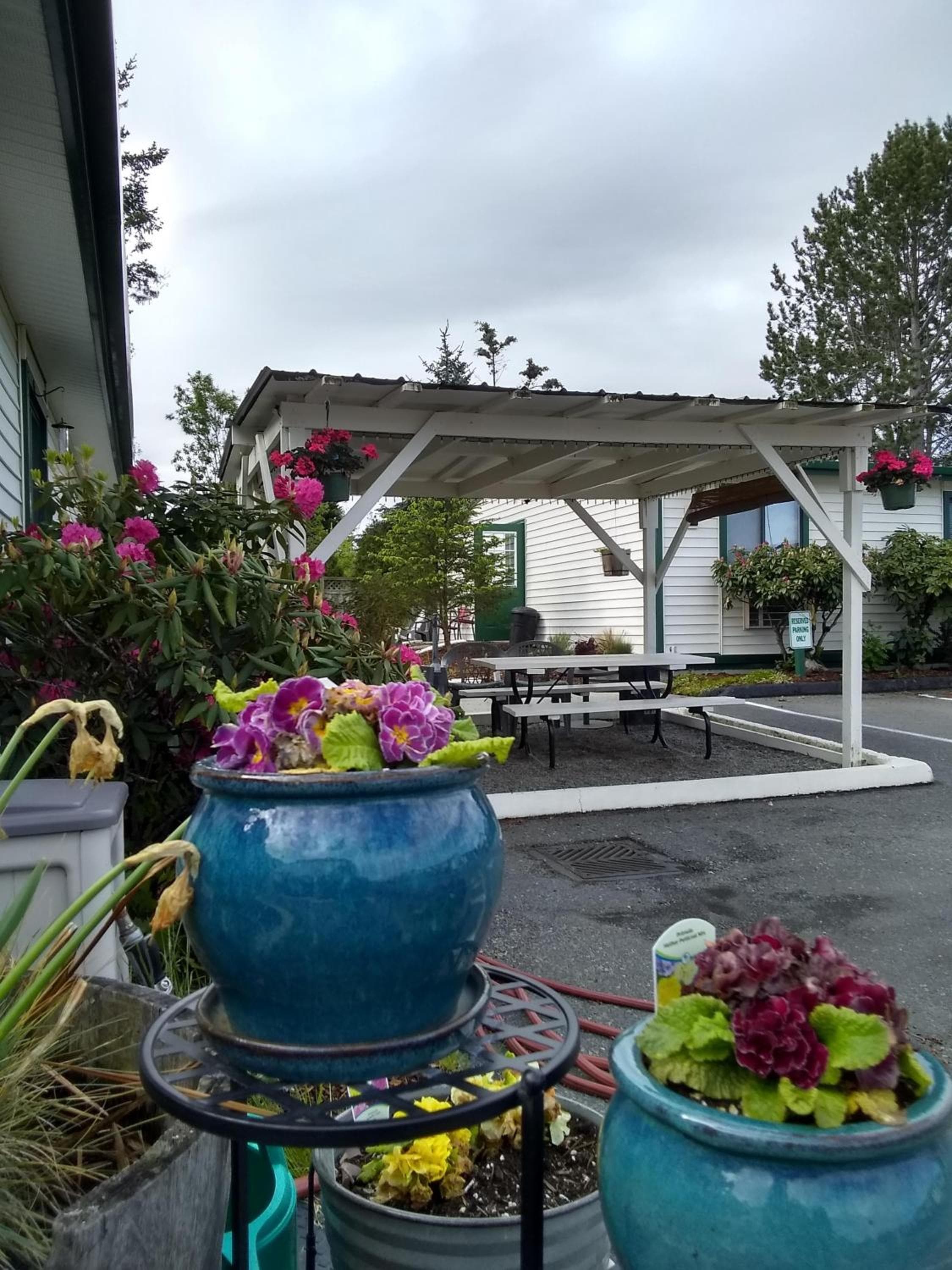 The Orca Inn