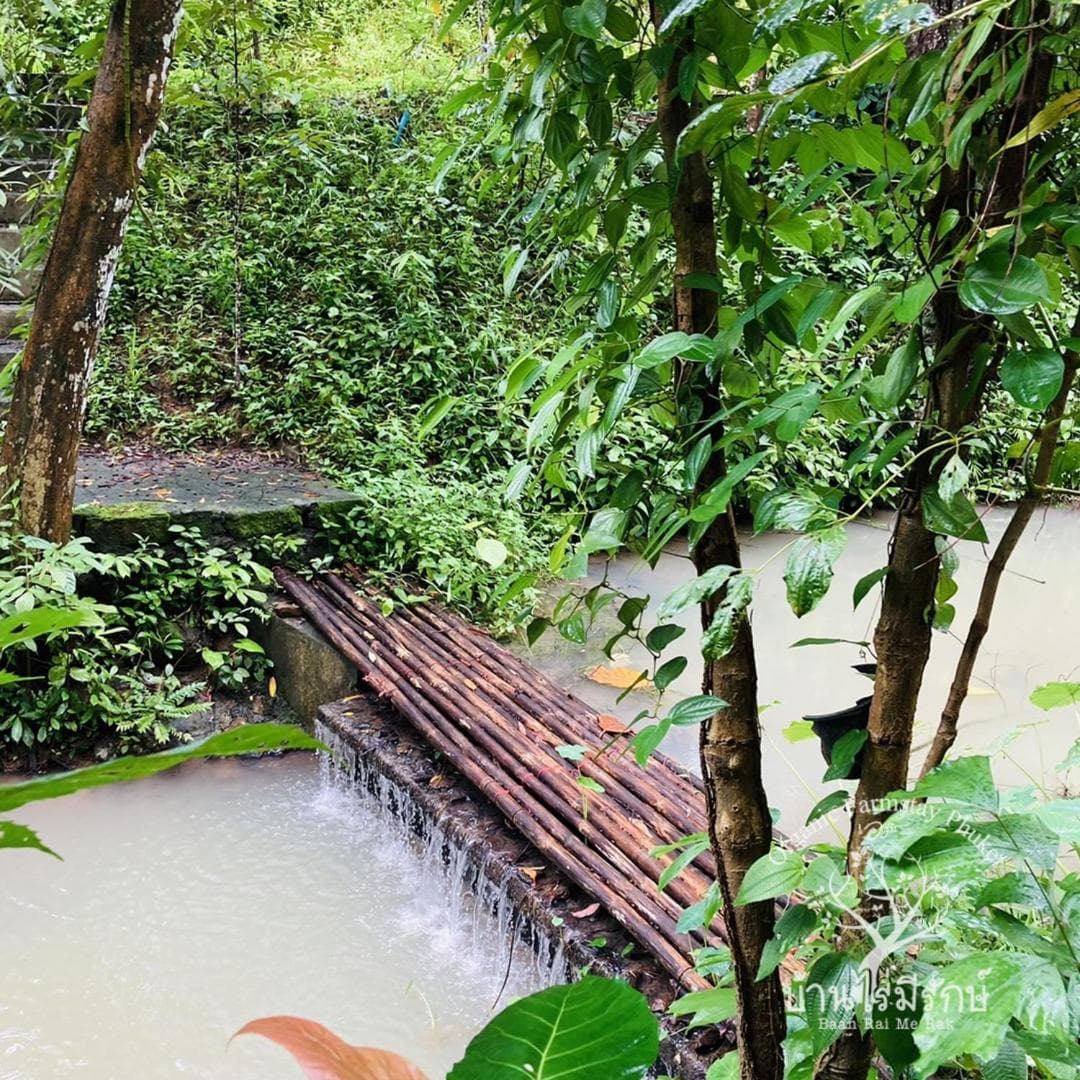 Baan Rai Me Rak Organic Farmstay