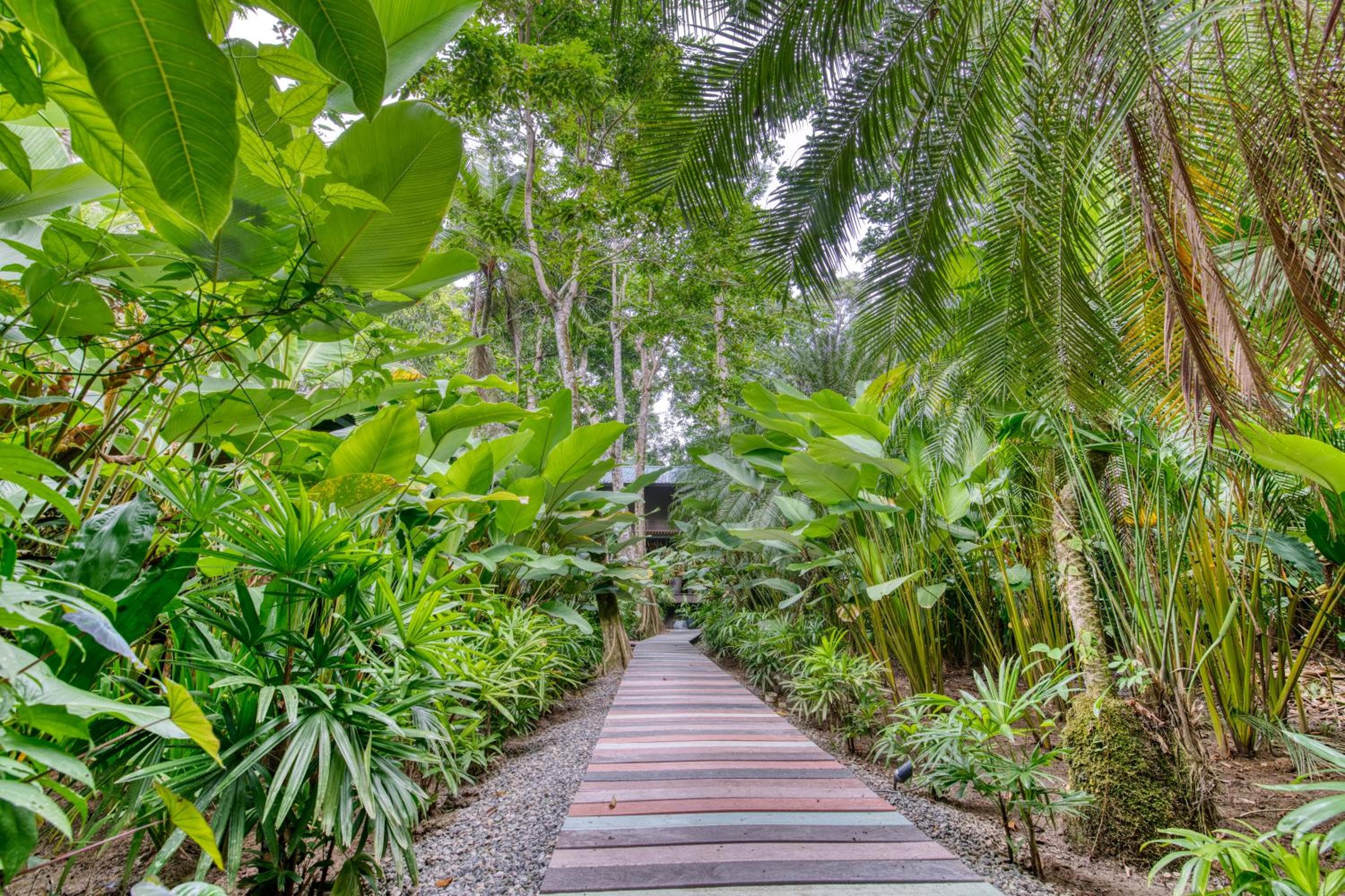 awā Beachfront Hotel