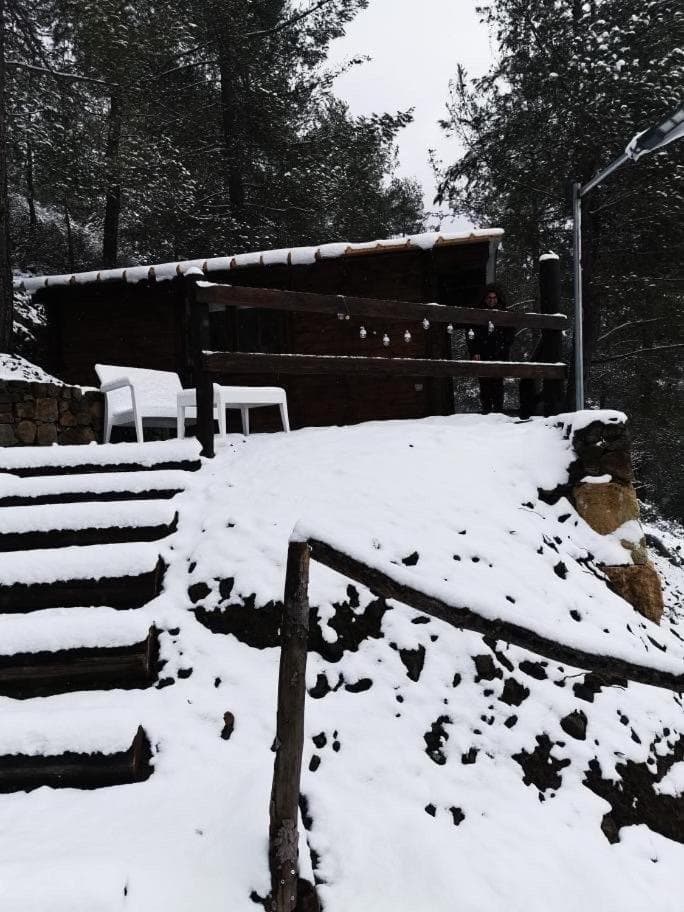 Bosco Paradiso