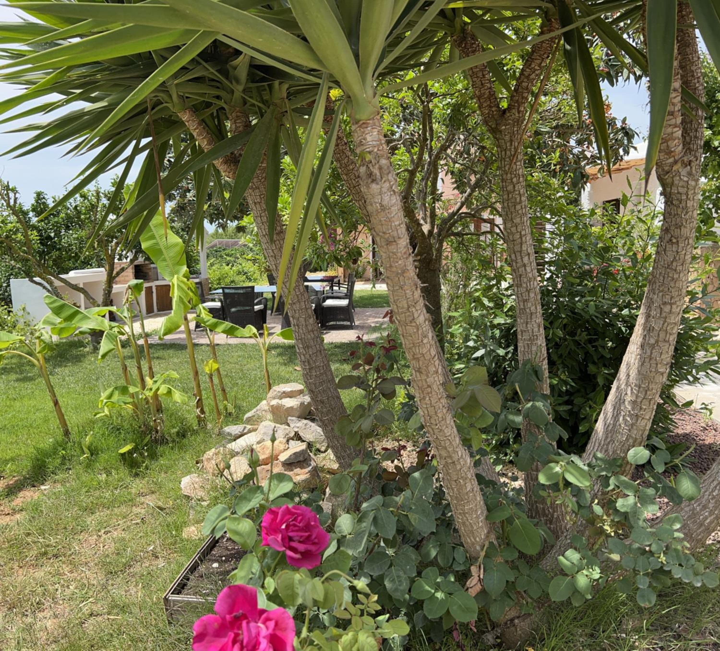 Finca Can Pepis