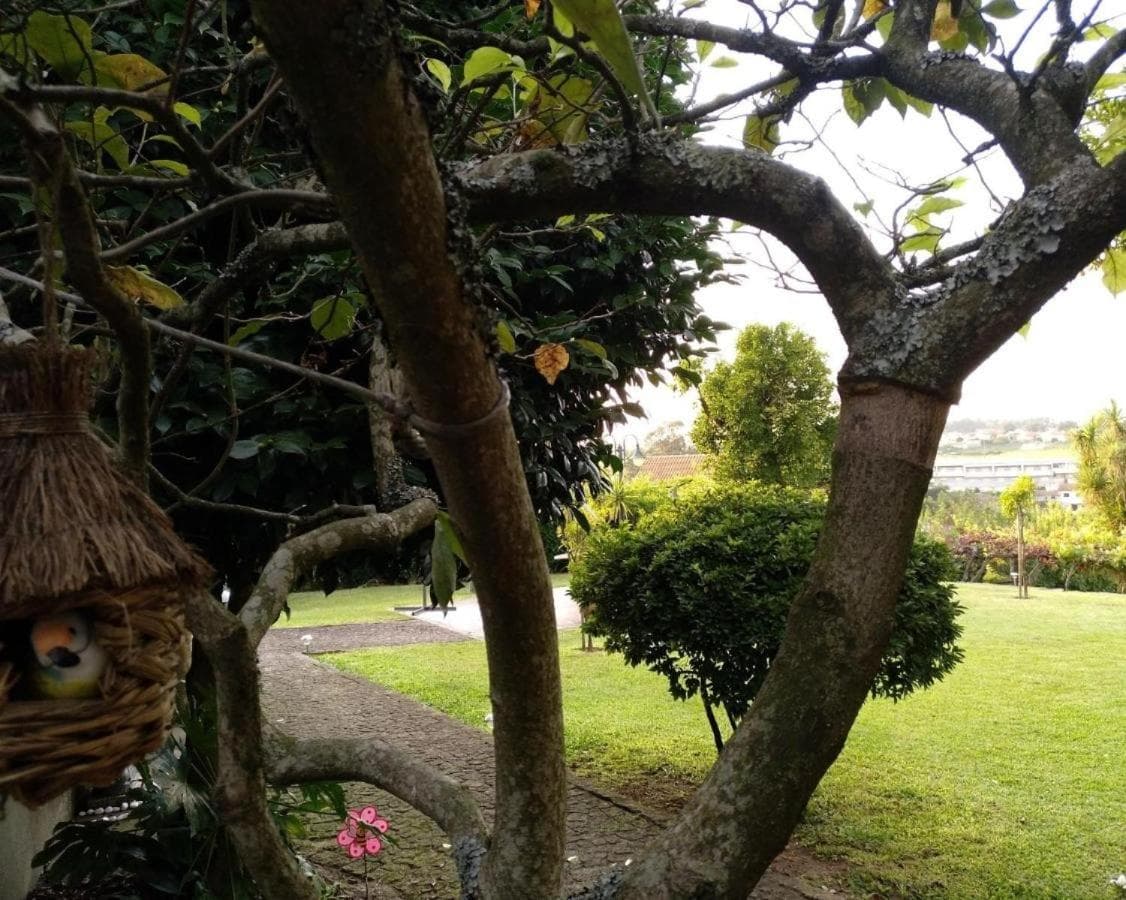 Casa com Piscina Privada de 10m e Jardim, até 8 pessoas, perto do Porto