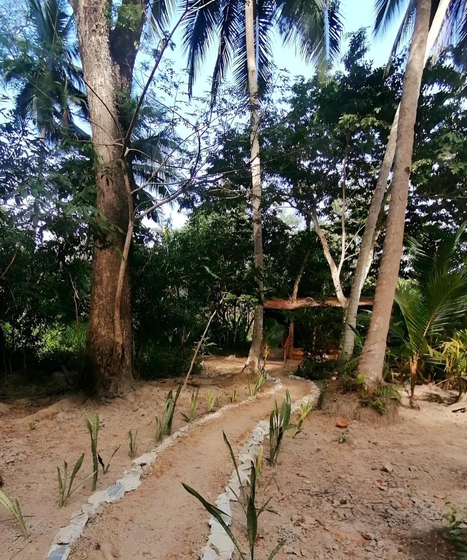Jungle Tent 3x3, Latino Glamping & Tours, Paquera