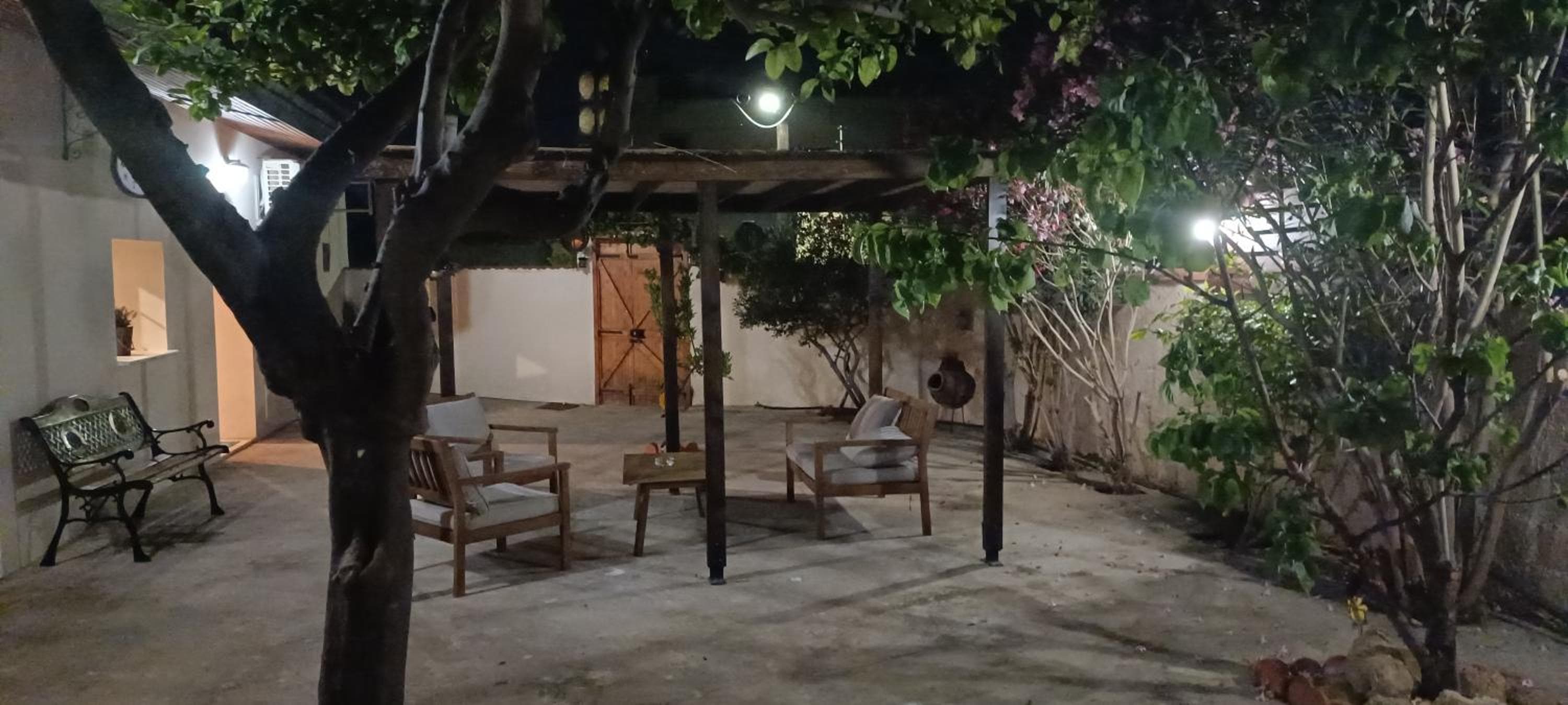 Lemon Tree Courtyard