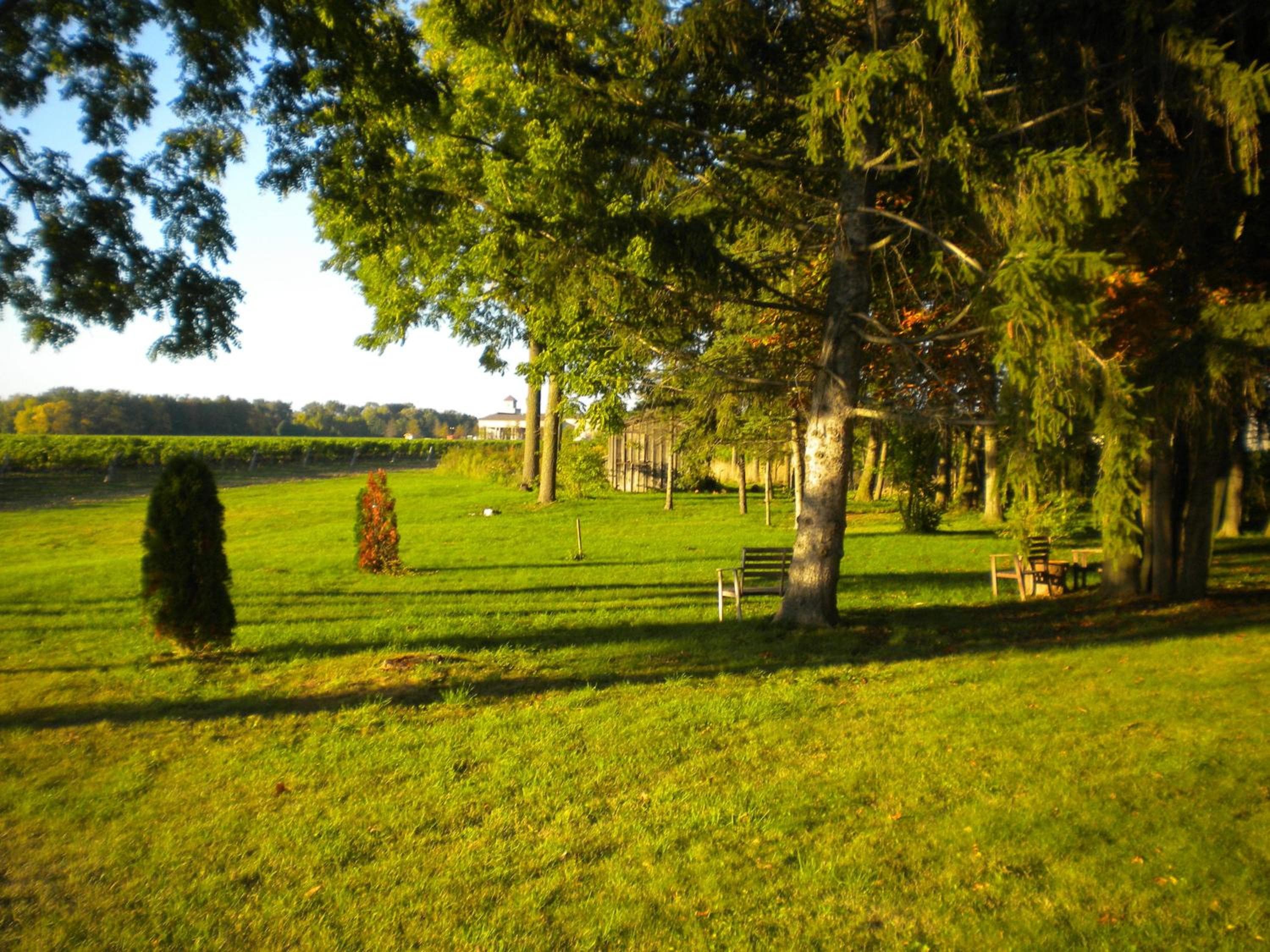 Vineyard Villa