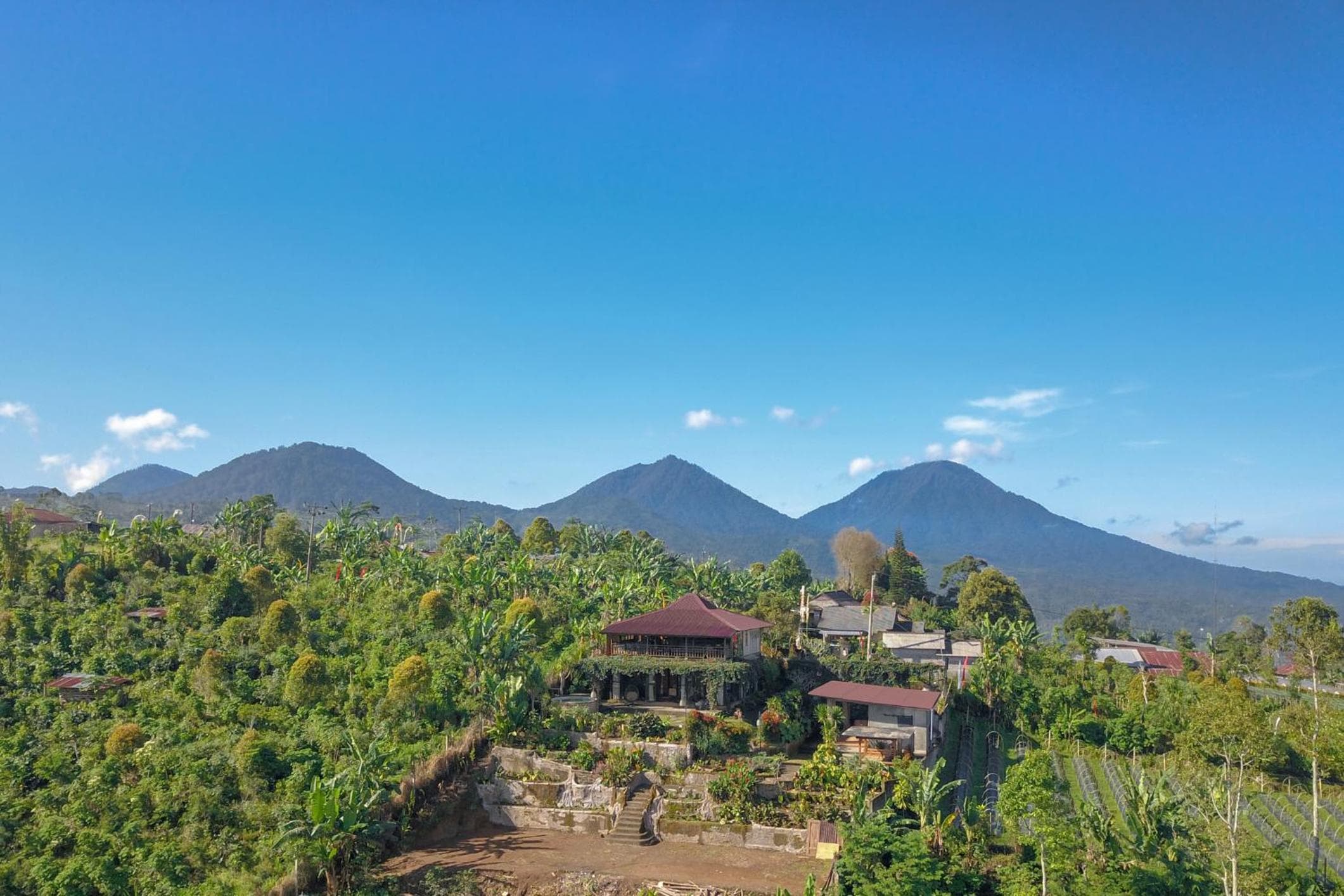 Kayukopi