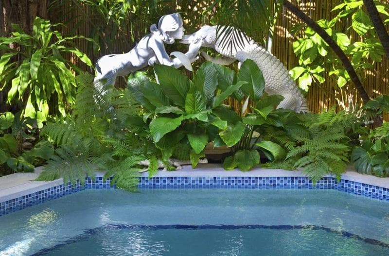 The Mermaid & The Alligator - Adult Only