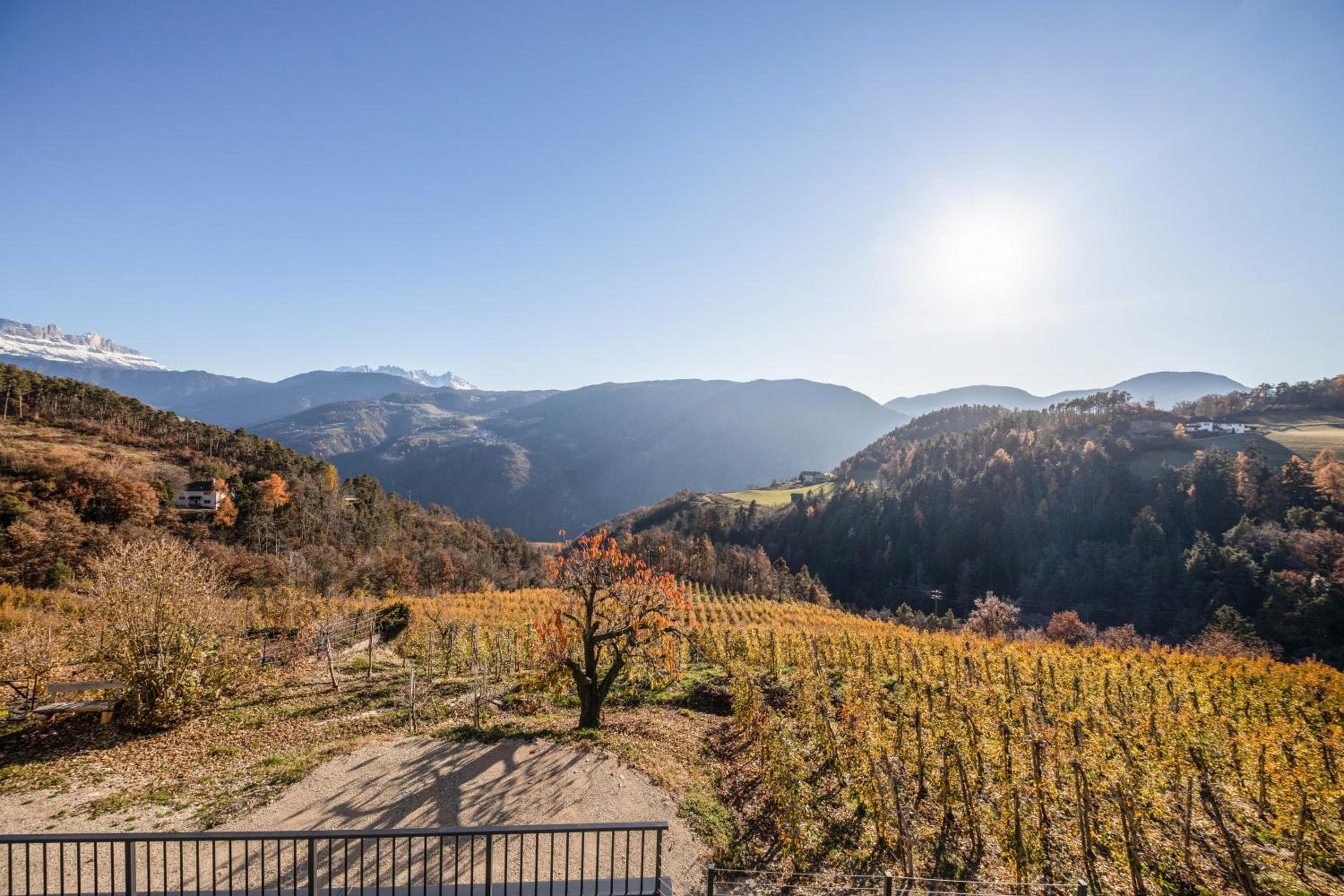 Thalerhof Naturae Montes Ritten