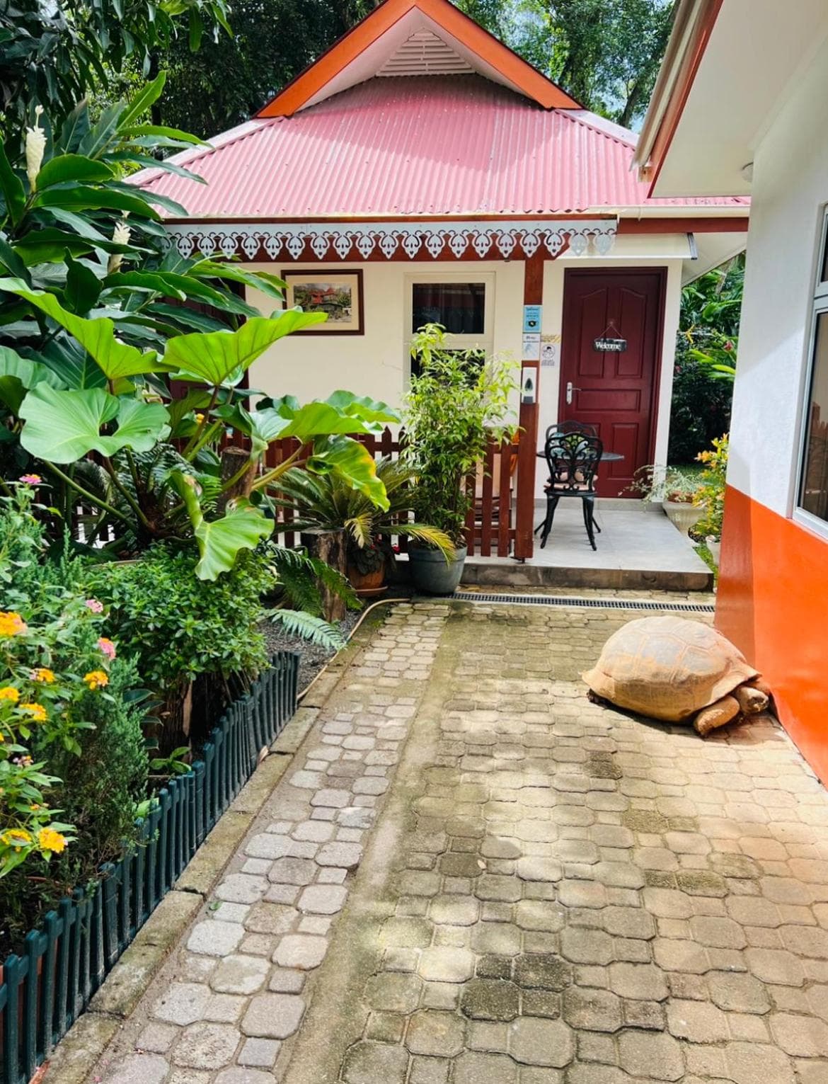 Garden Hut