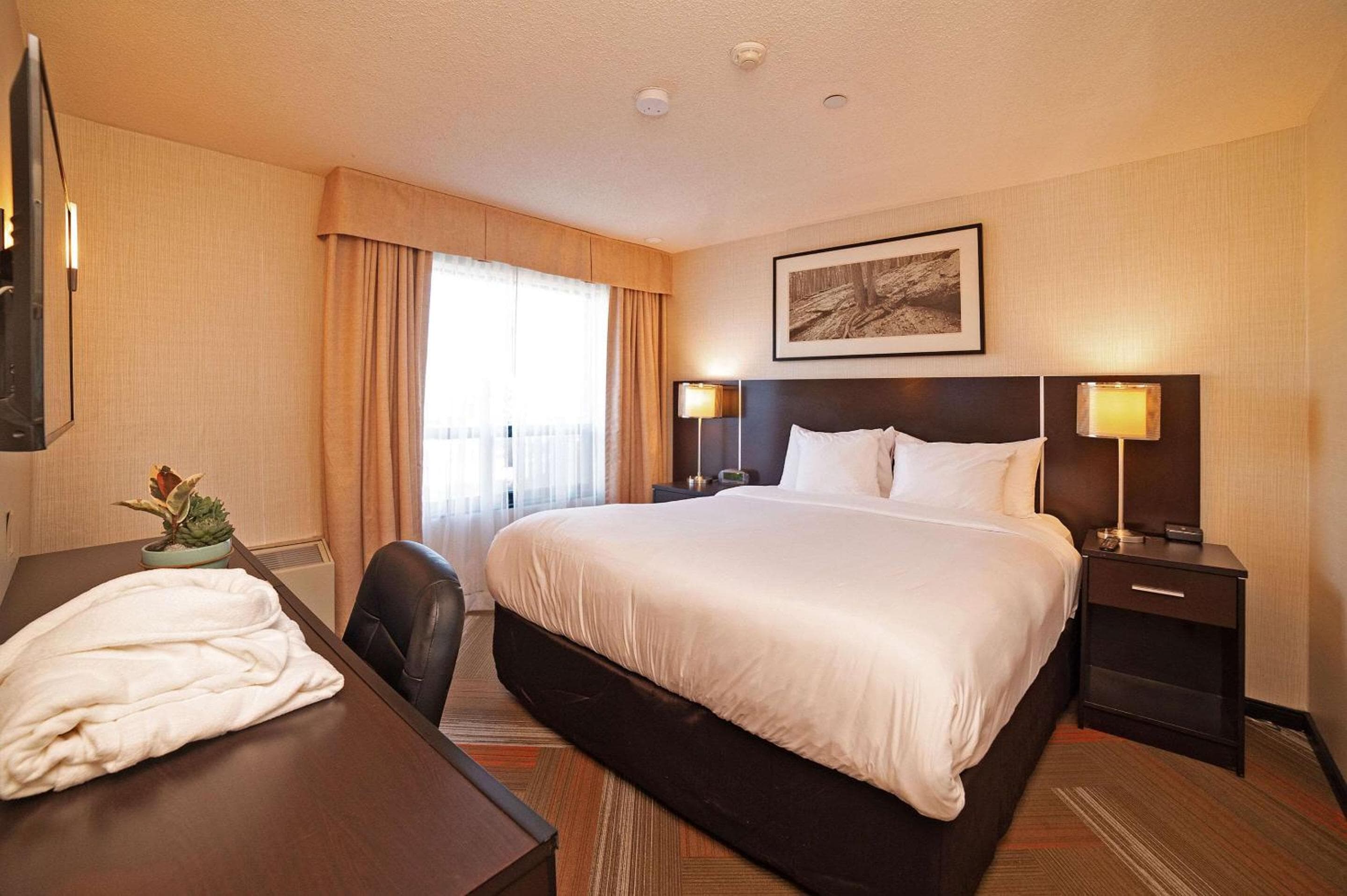 Quality Hotel