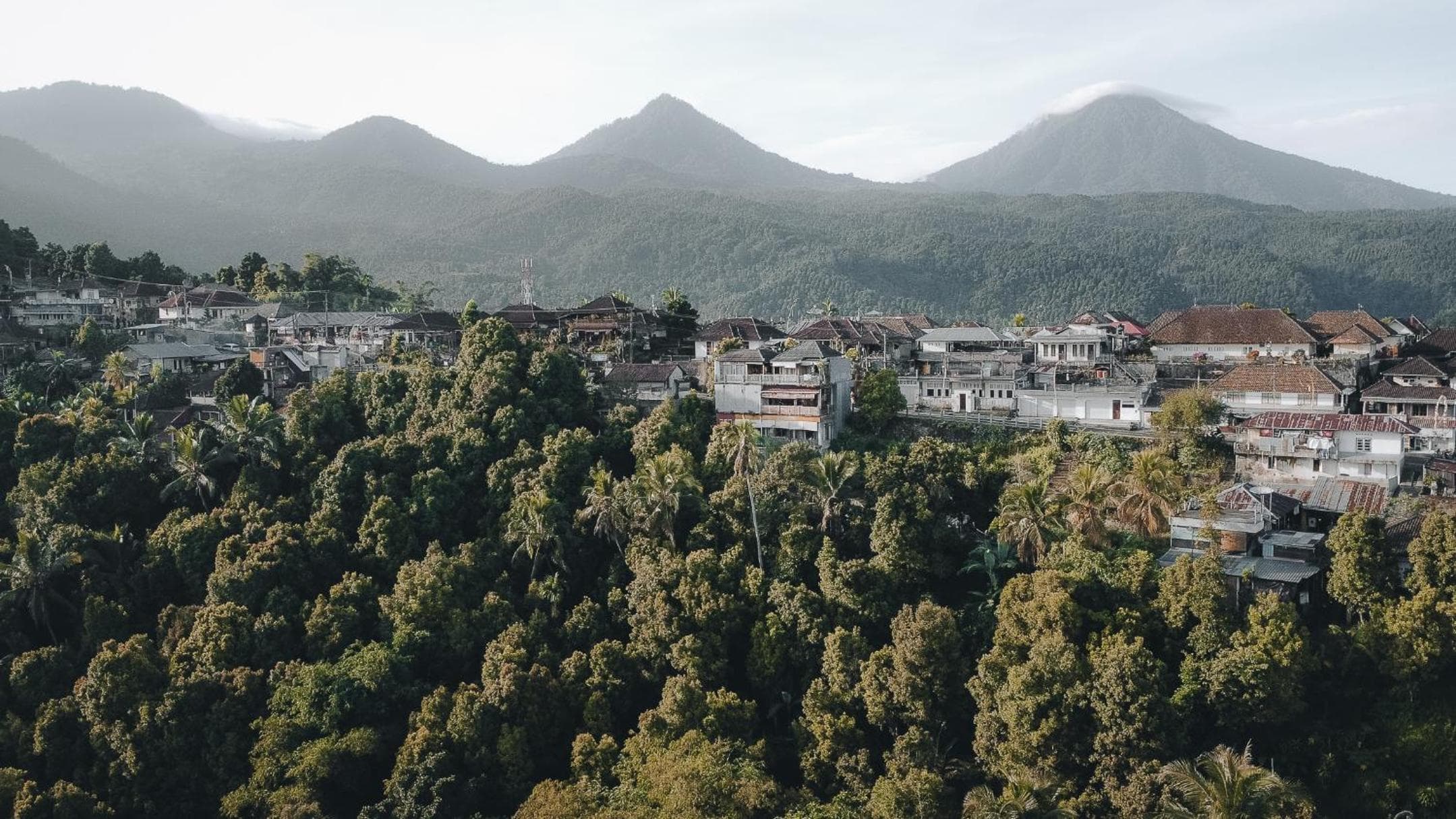 Munduk Panorama