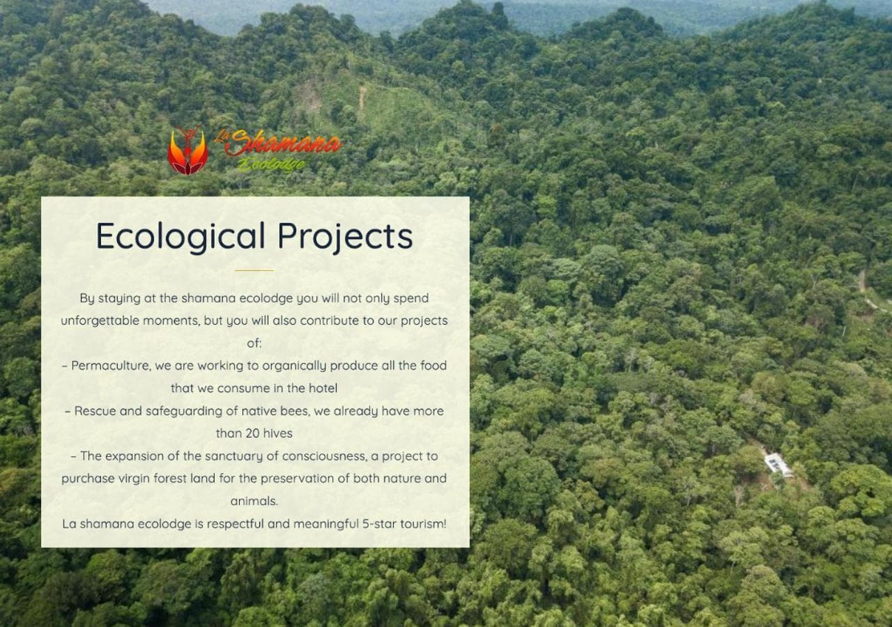 La Shamana - Ecological Concept in Jungle