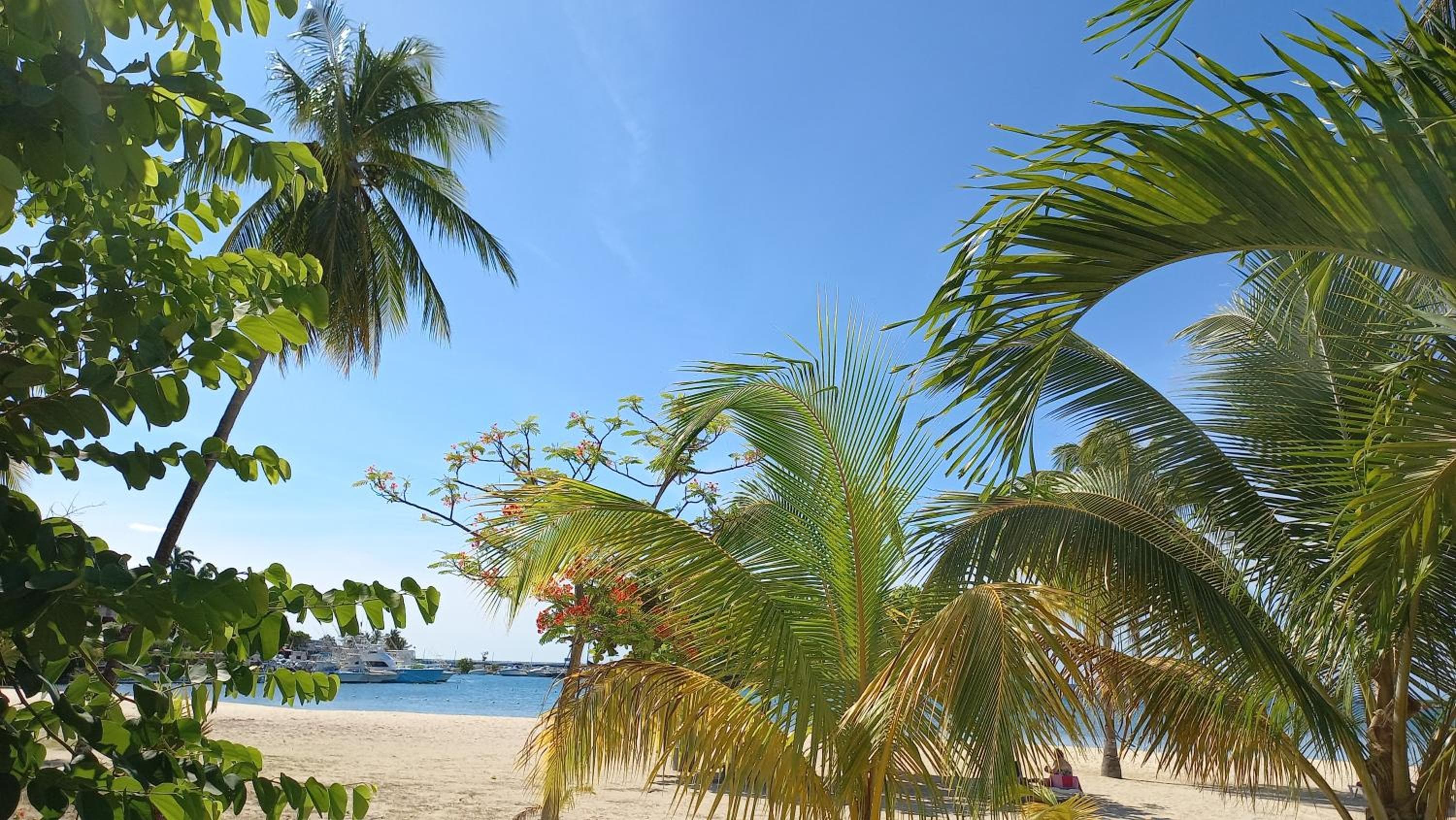 Beach One Bedroom 2