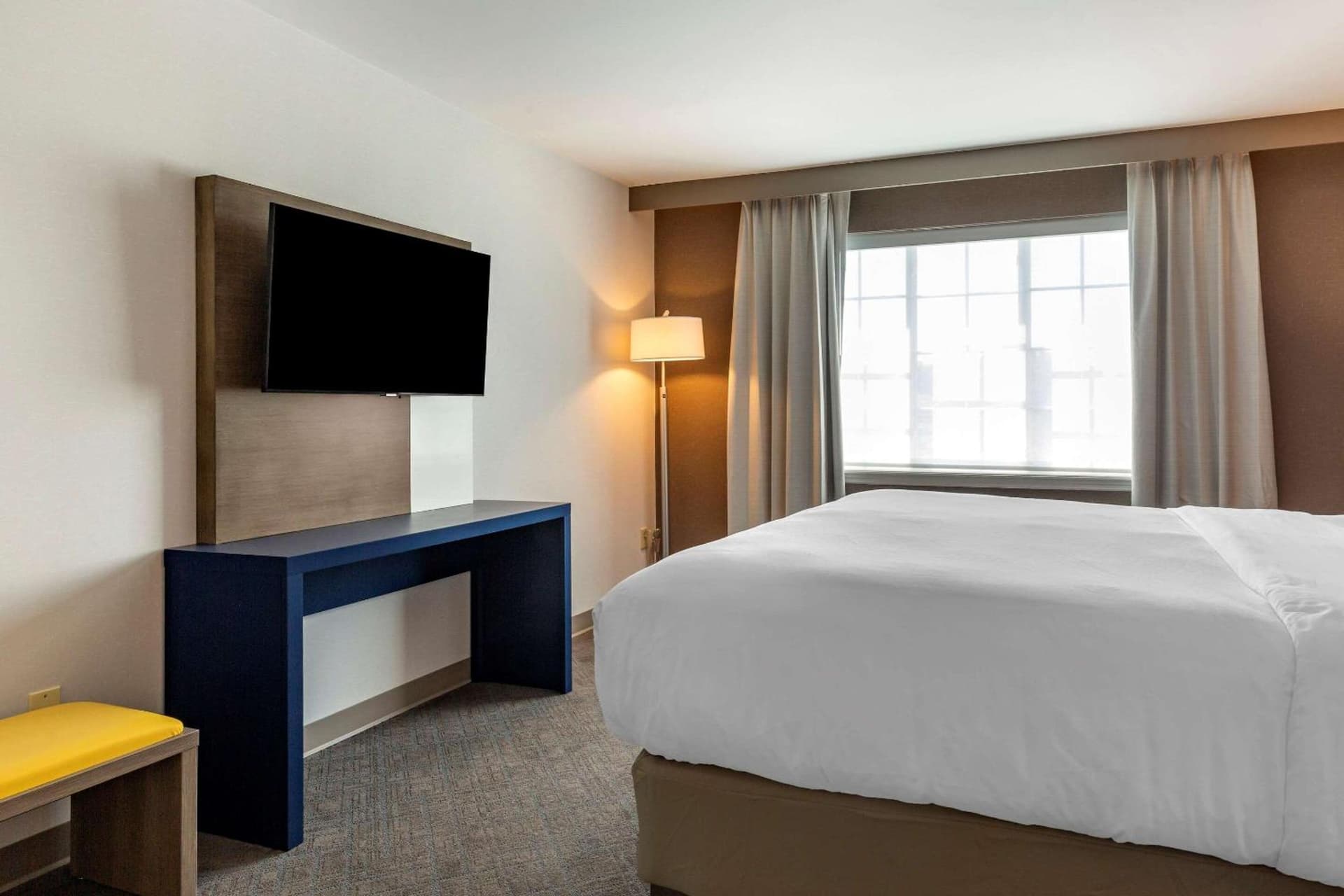 Comfort Inn & Suites East Greenbush - Albany