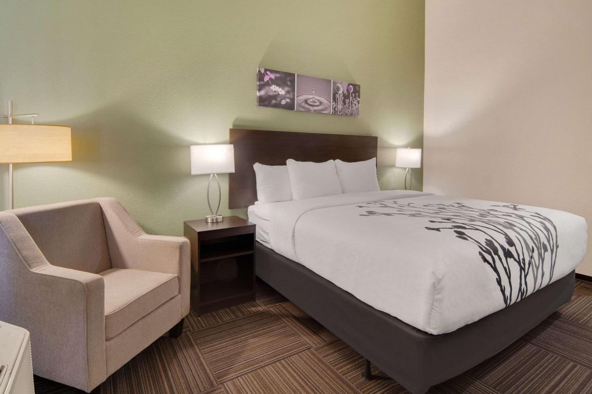 Sleep Inn Dallas Northwest - Irving