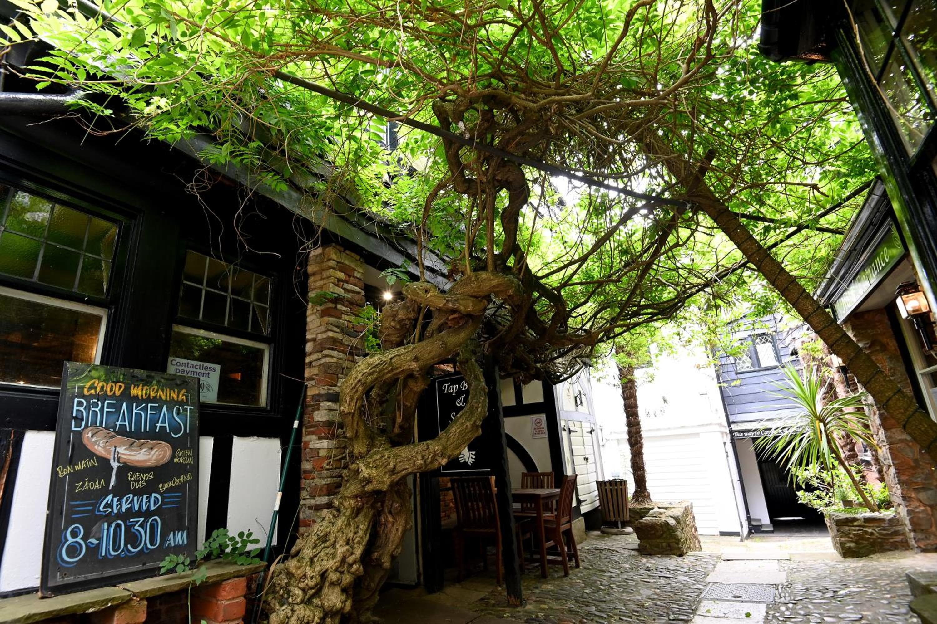White Hart, Exeter by Marston's Inns