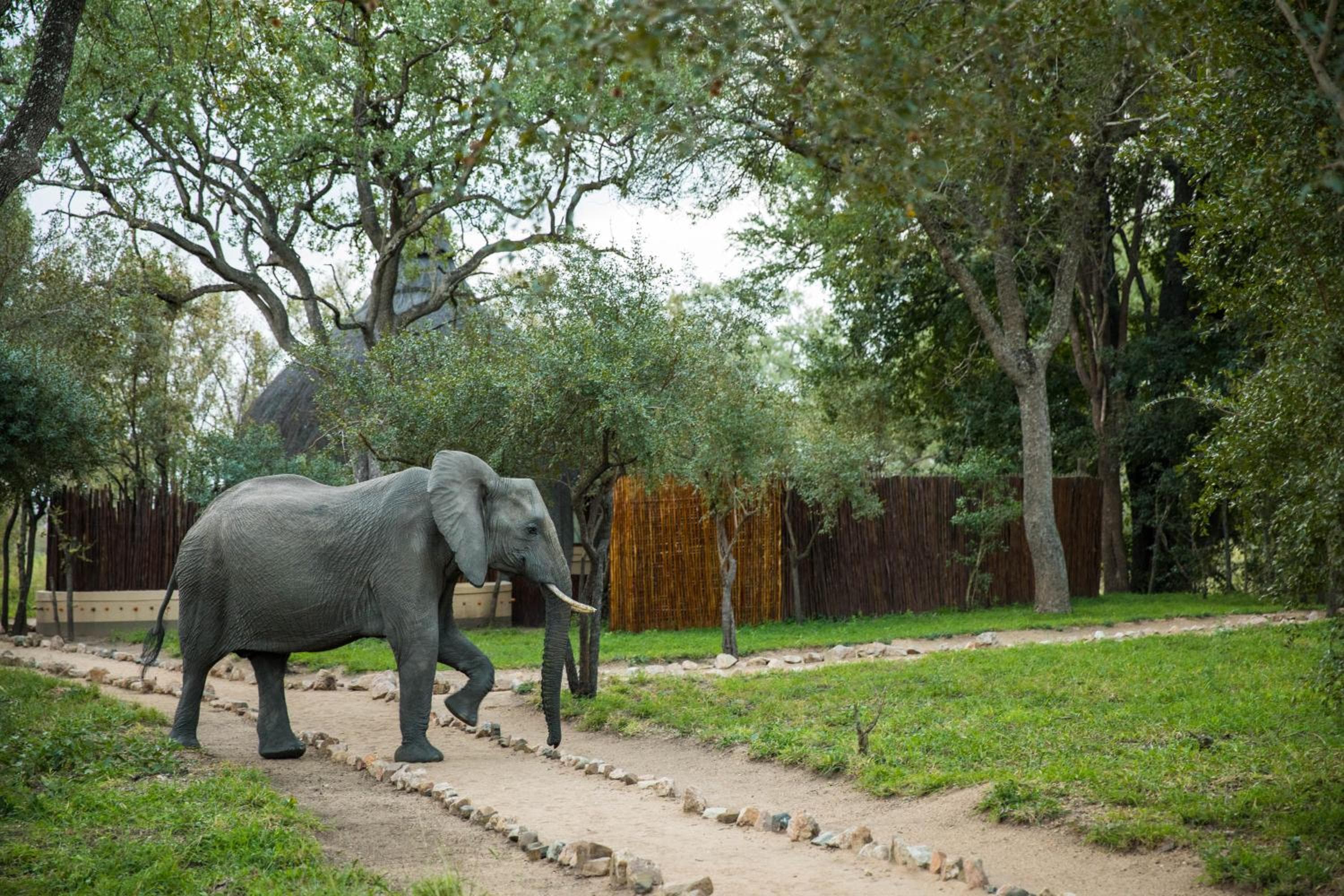 Hoyo Hoyo Safari Lodge