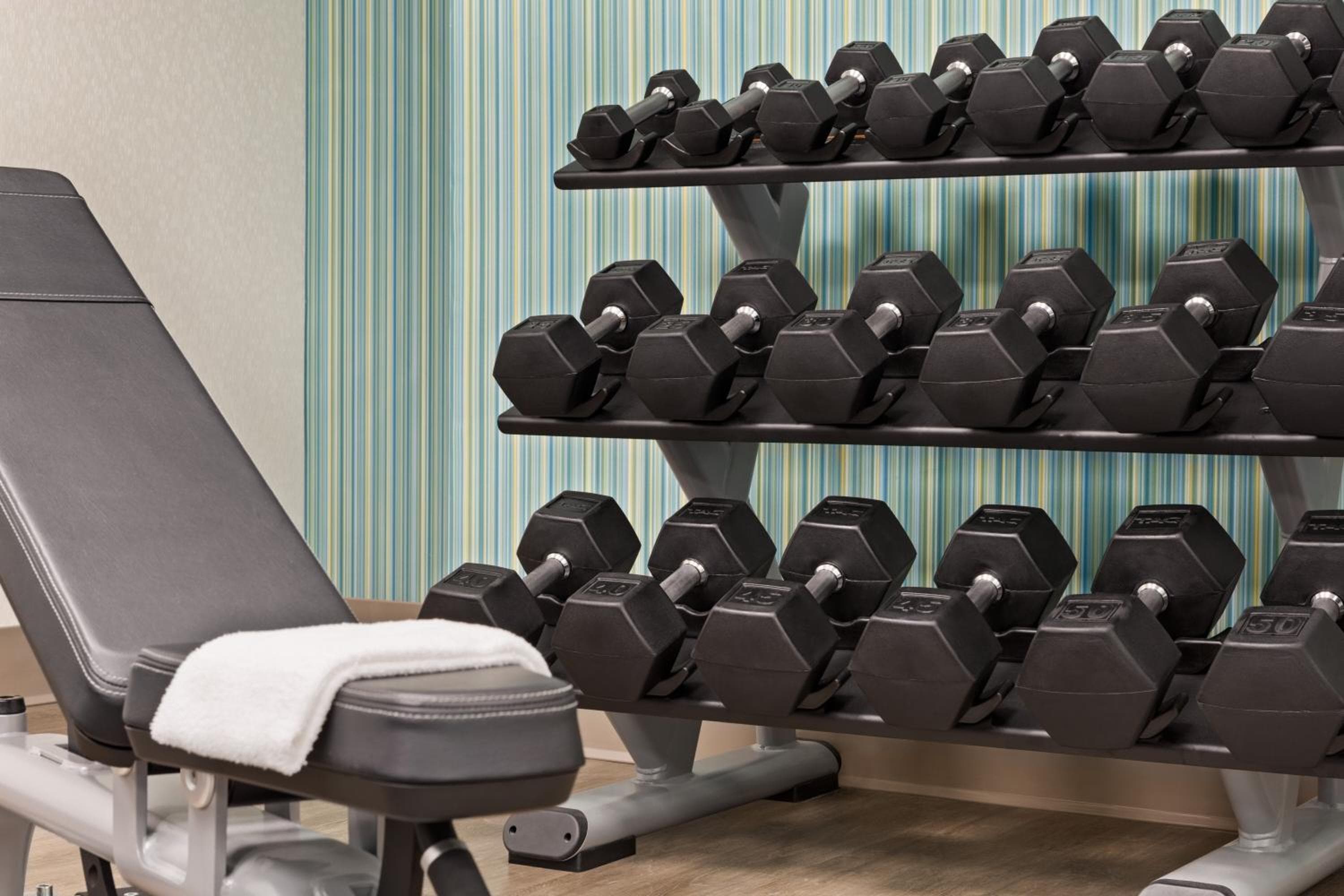 Holiday Inn Express & Suites Greenville-Downtown by IHG