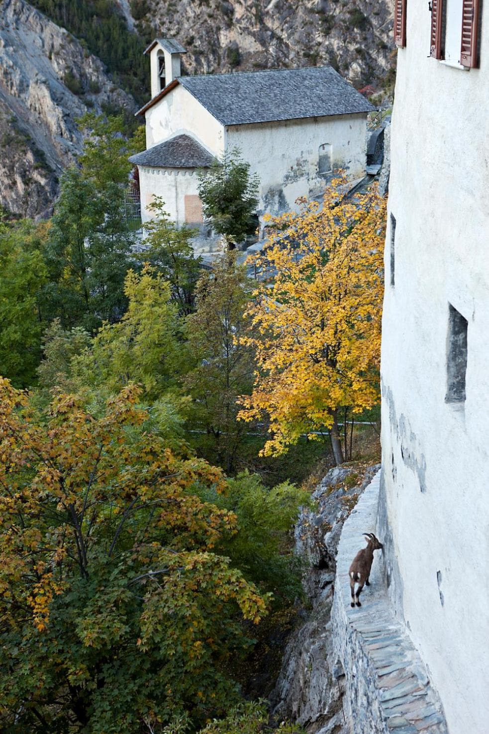 QC Hotel Bagni Vecchi