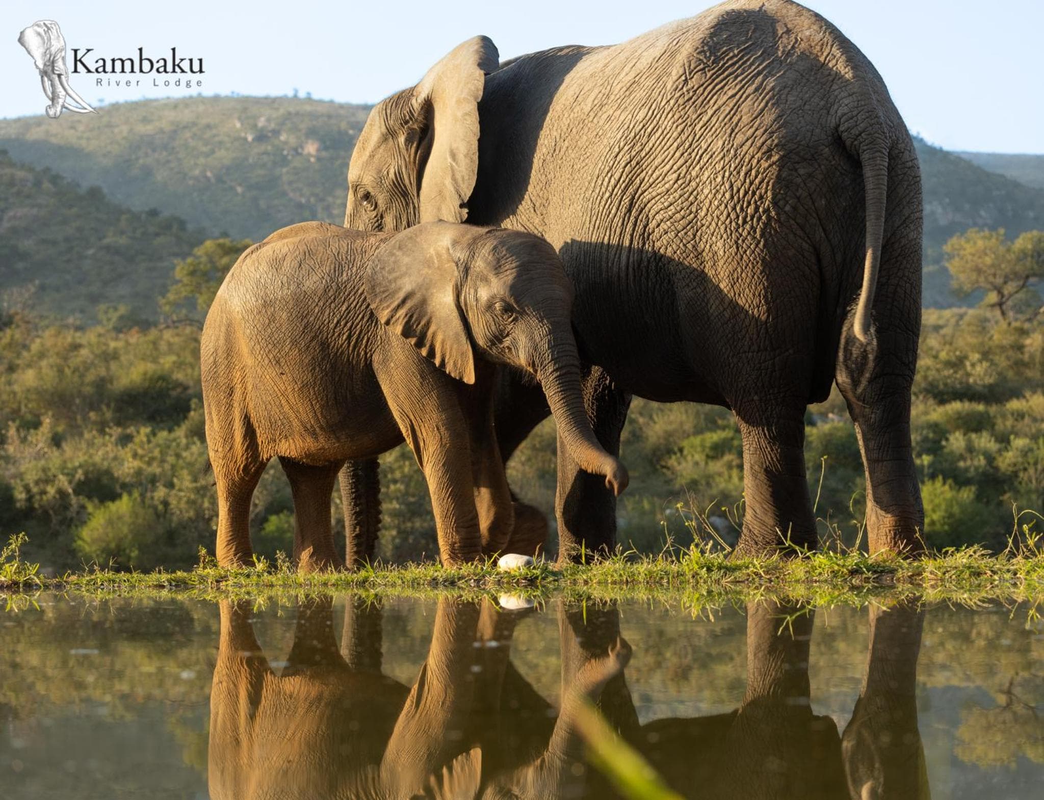 Kambaku River Lodge
