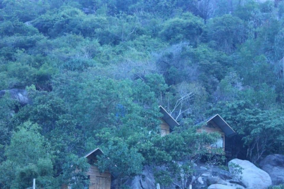 Thanh Nhi Homestay