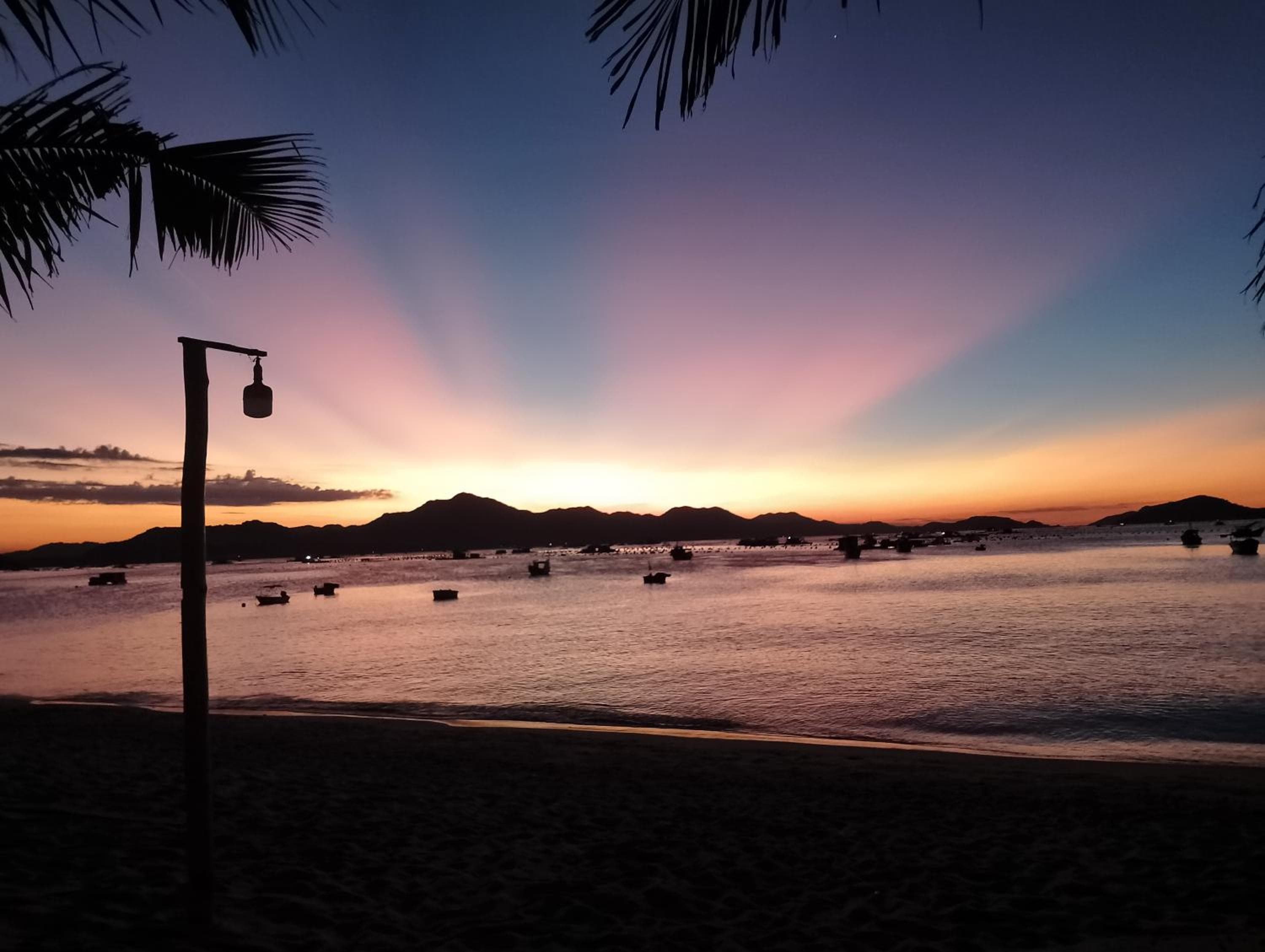 The Sunrise Anh Tu