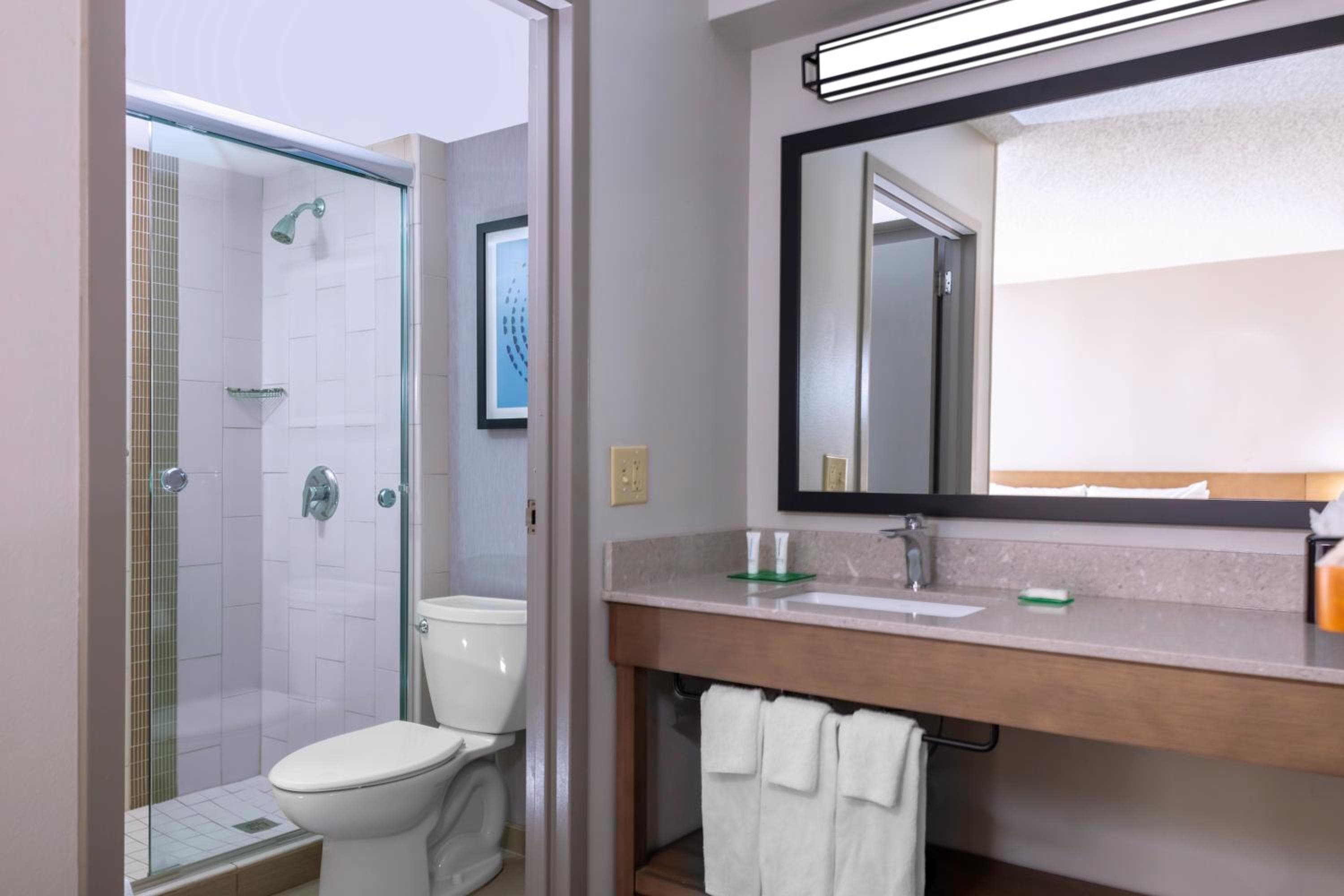 Hyatt Place-Dallas/Arlington