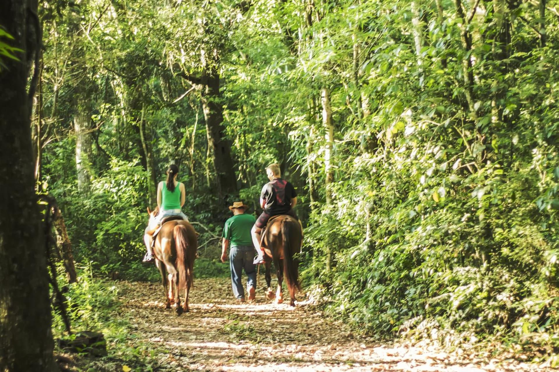 Canzi Cataratas Hotel