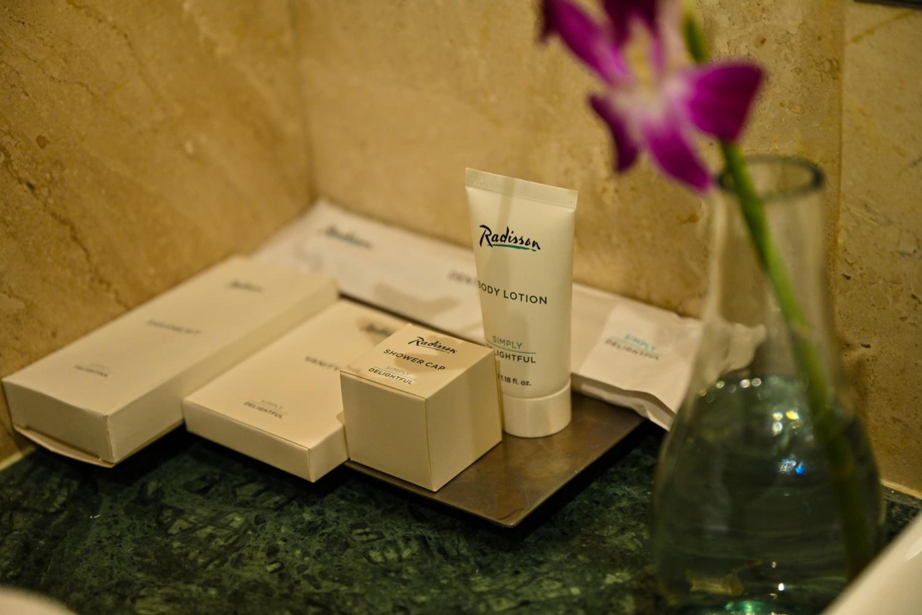 Radisson Jodhpur