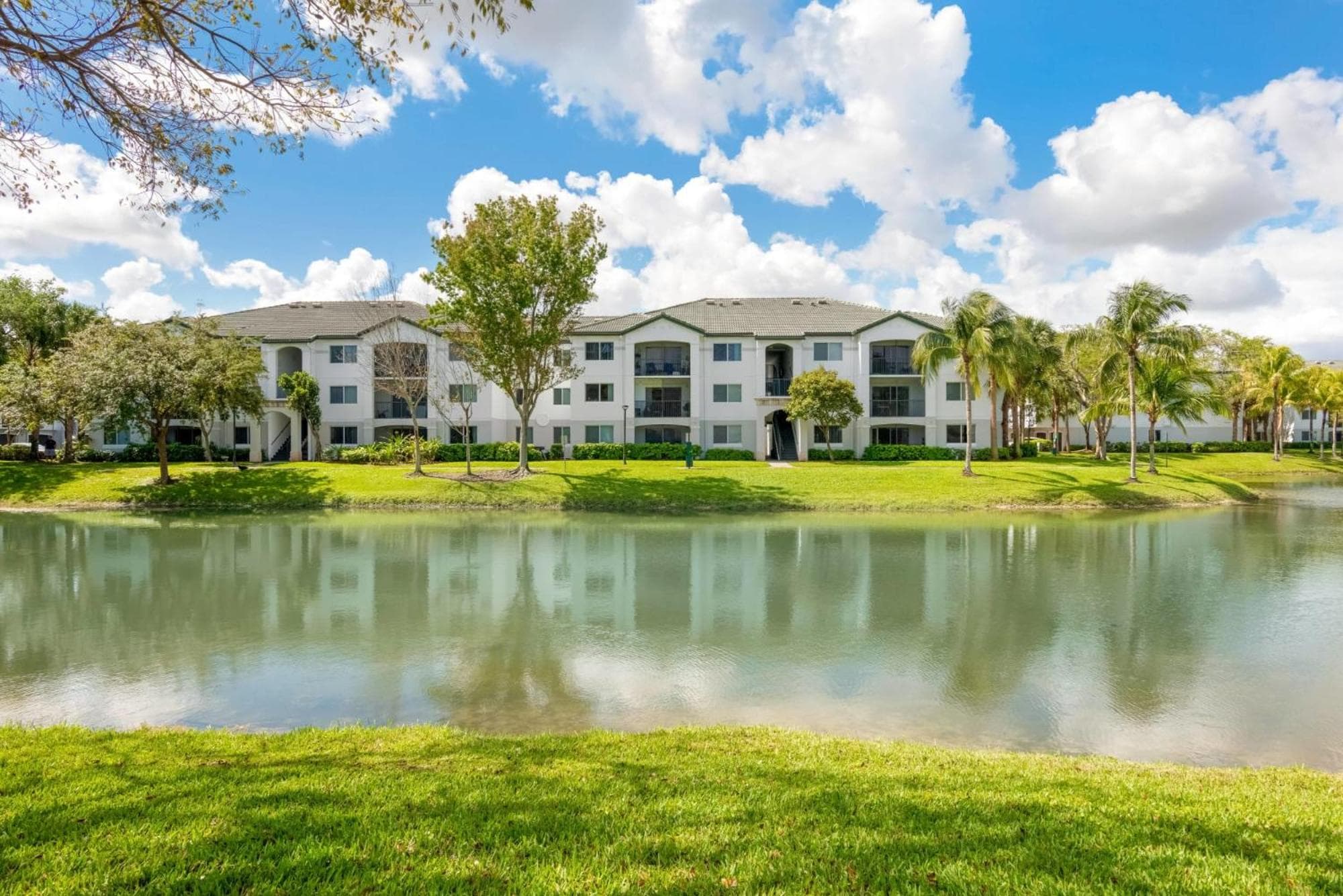 Tucker at Palm Trace Landings Fort Lauderdale